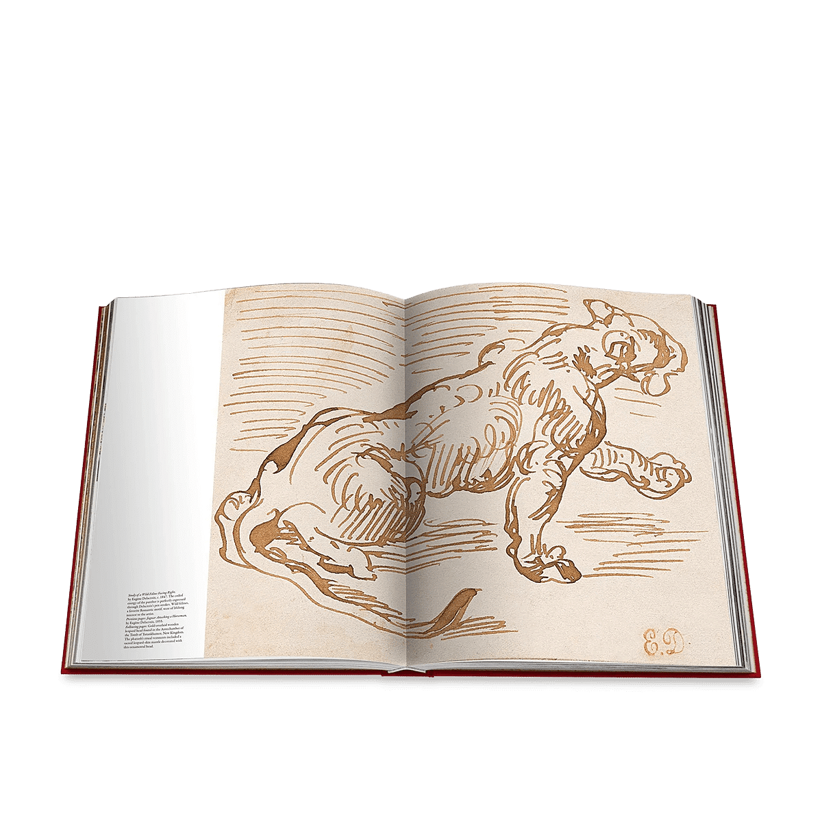 Cartier Panthère Coffee Table Book