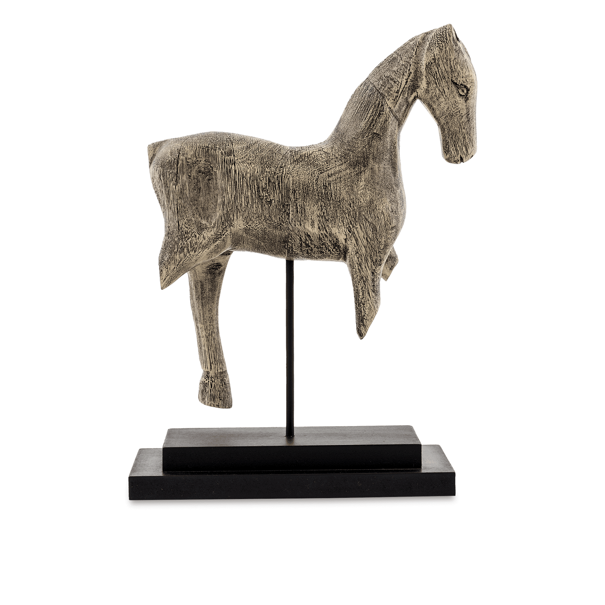Dominus Horse