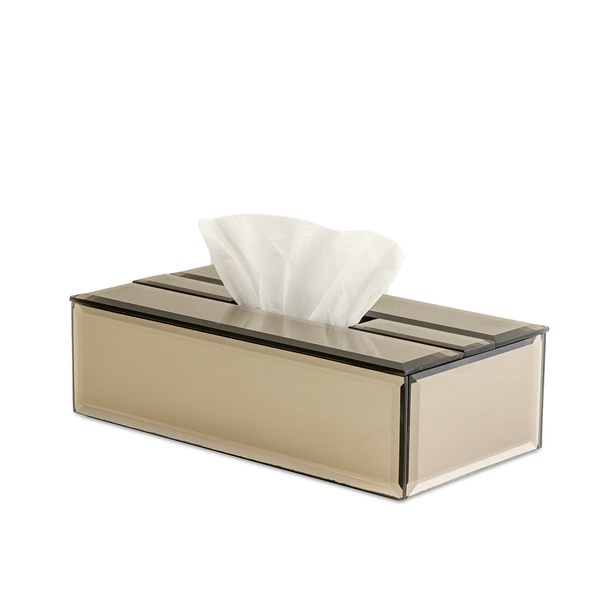 Duplus Mirror Tissue Box