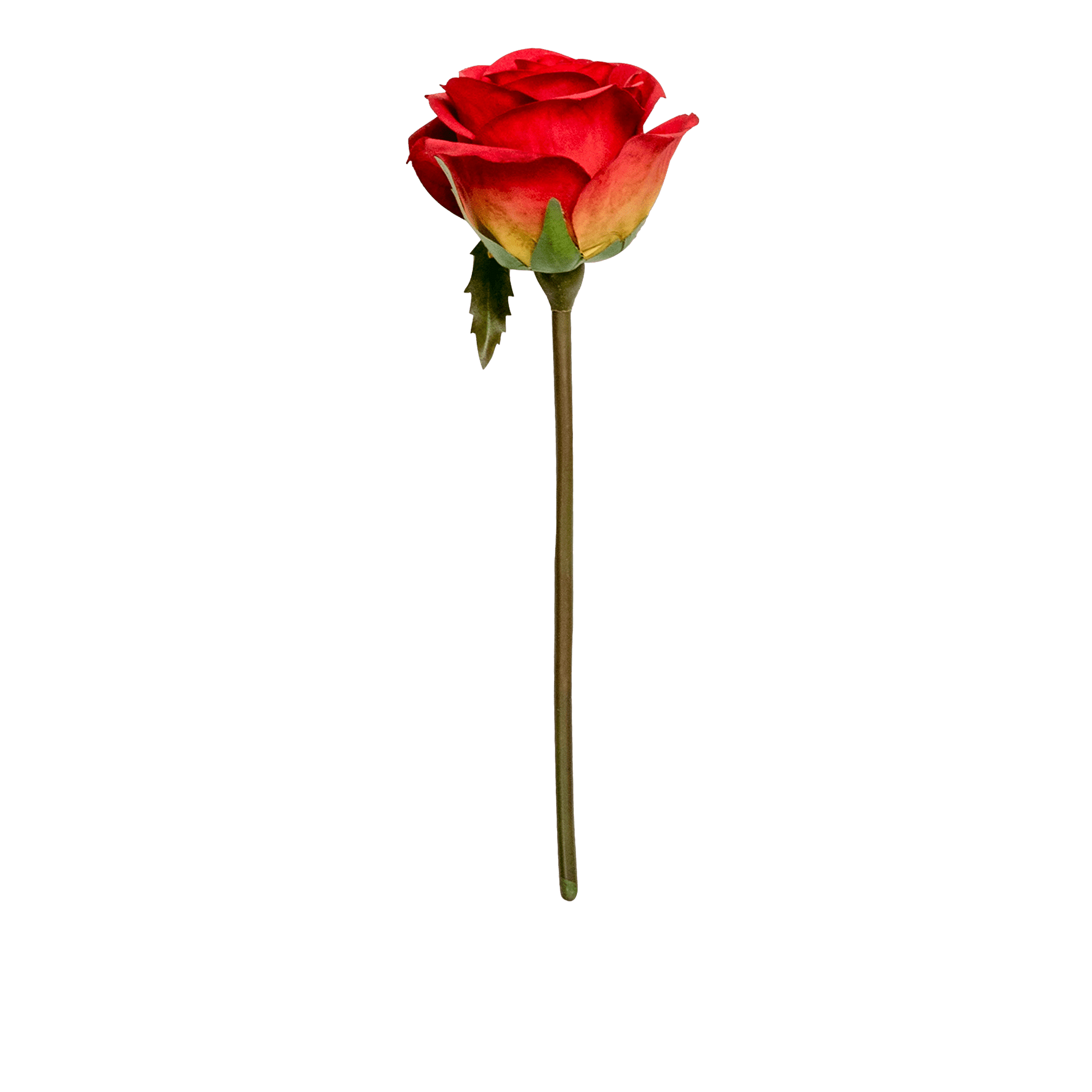 Rose Stem Small