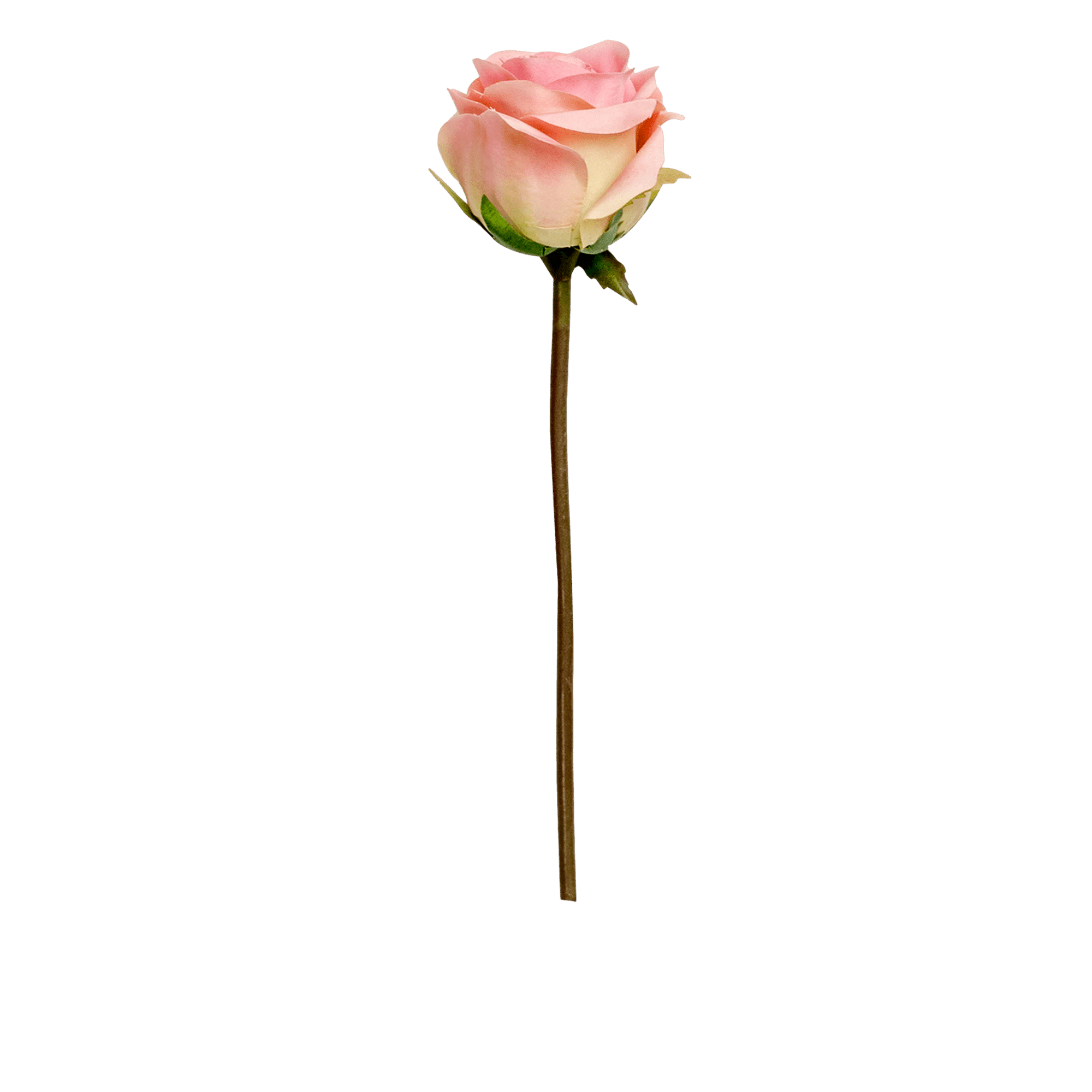 Rose Stem Small