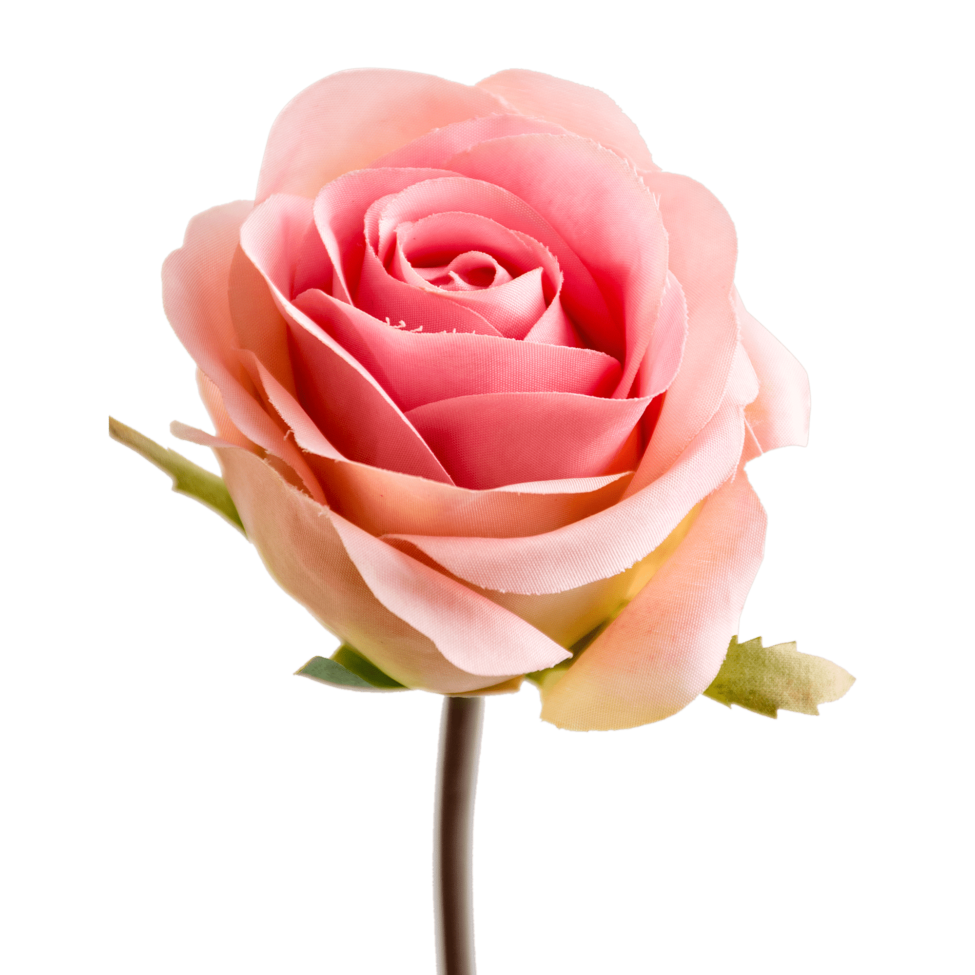/I/T/ITEM-002692_2_1.png