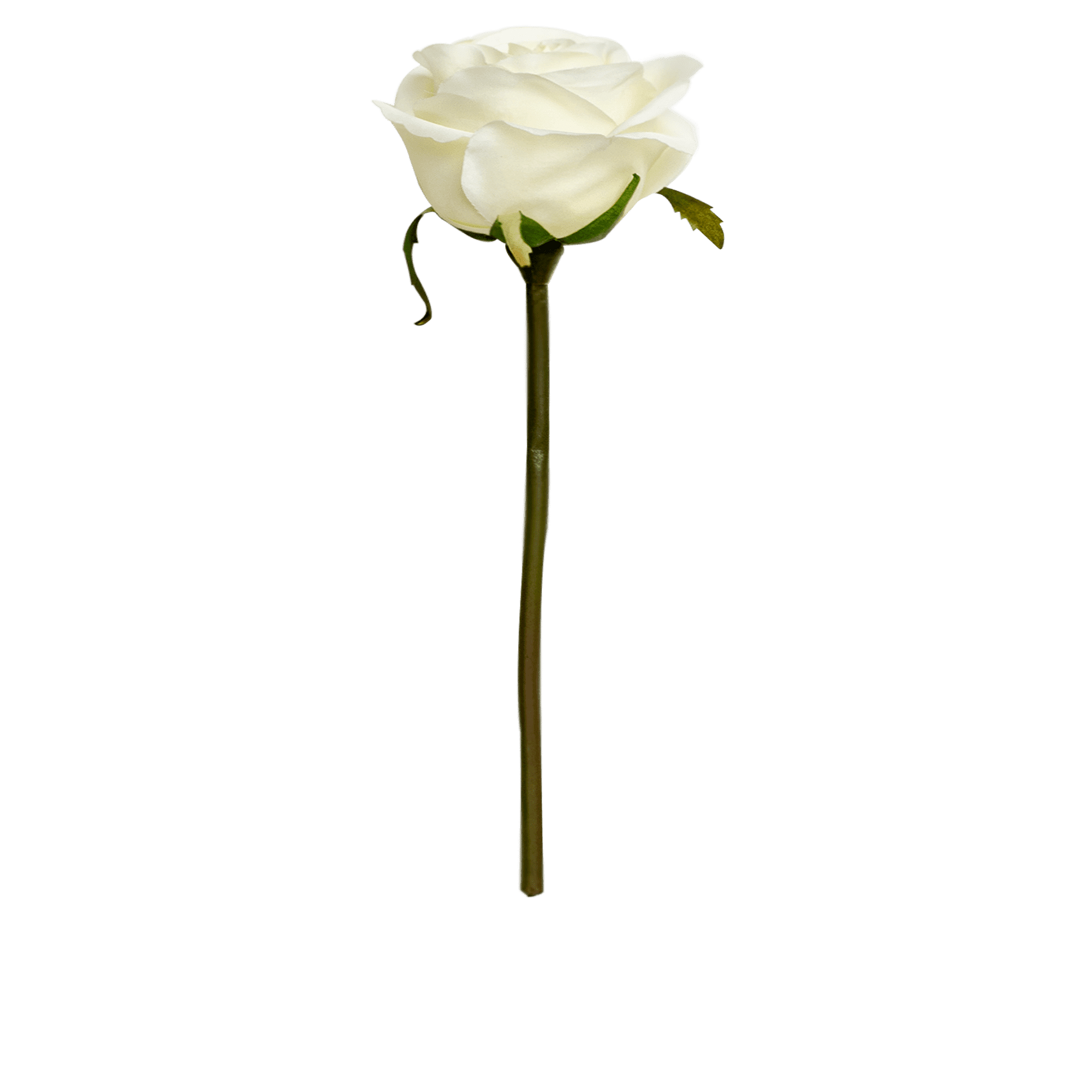 Rose Stem Small