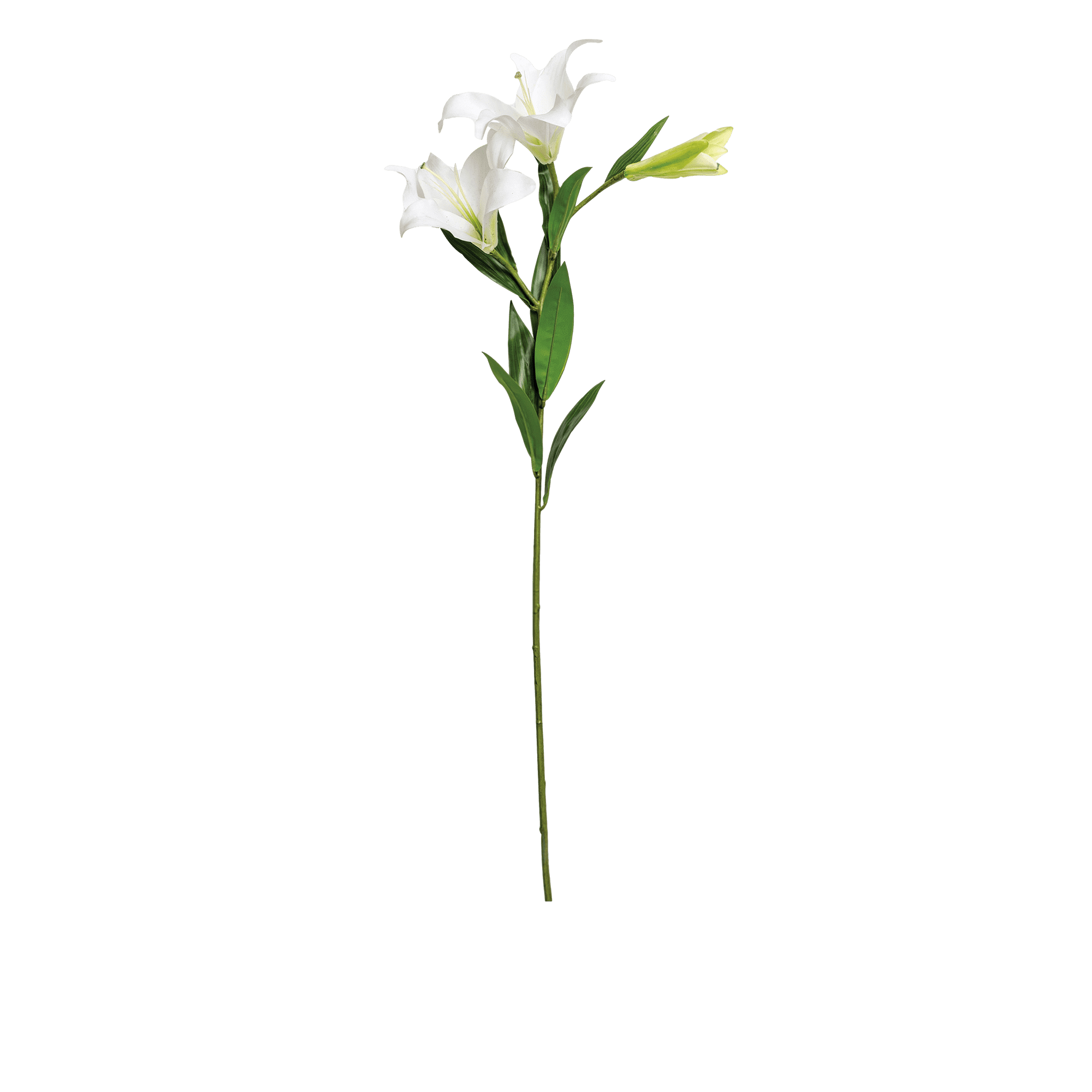Lily Spray