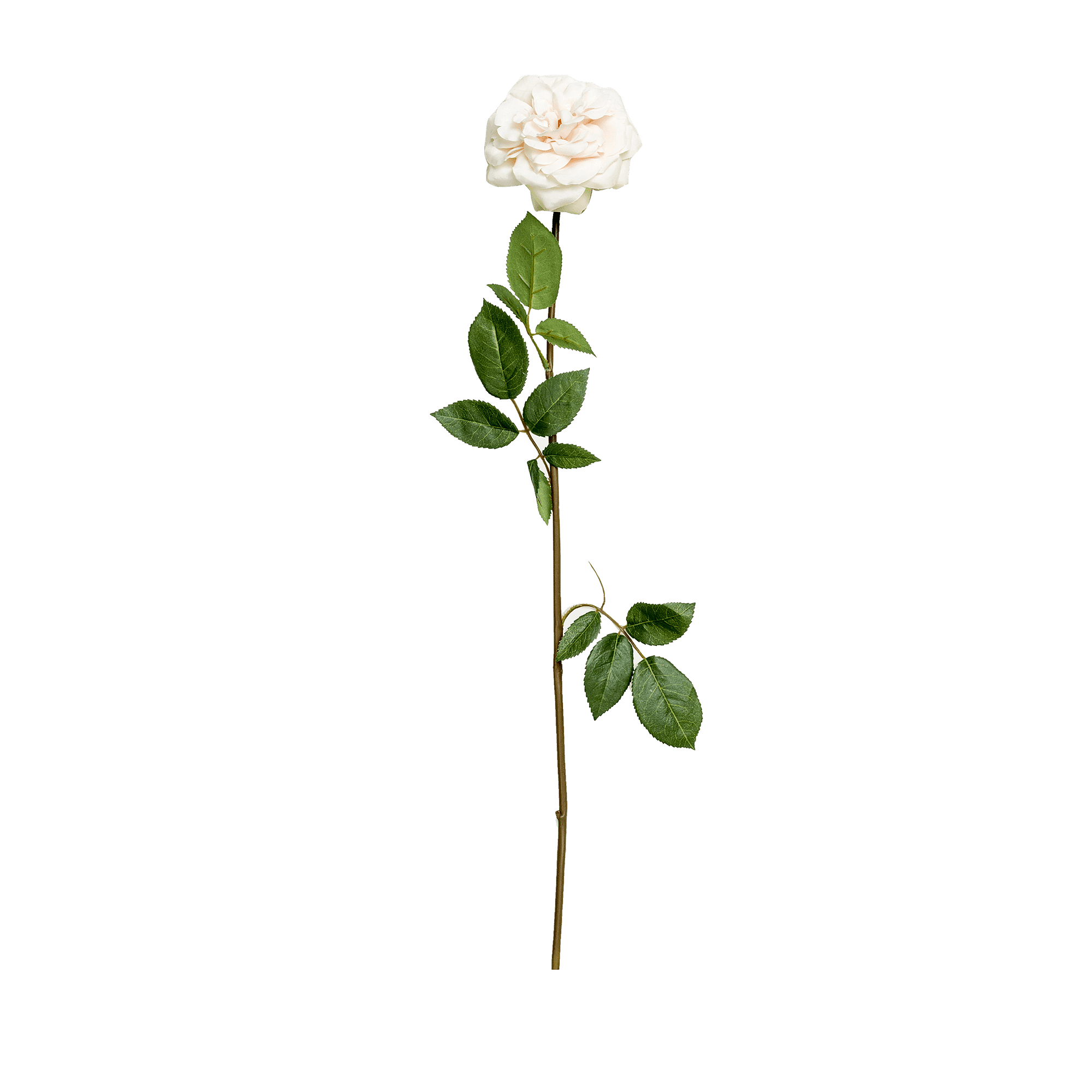 Rose Stem Large