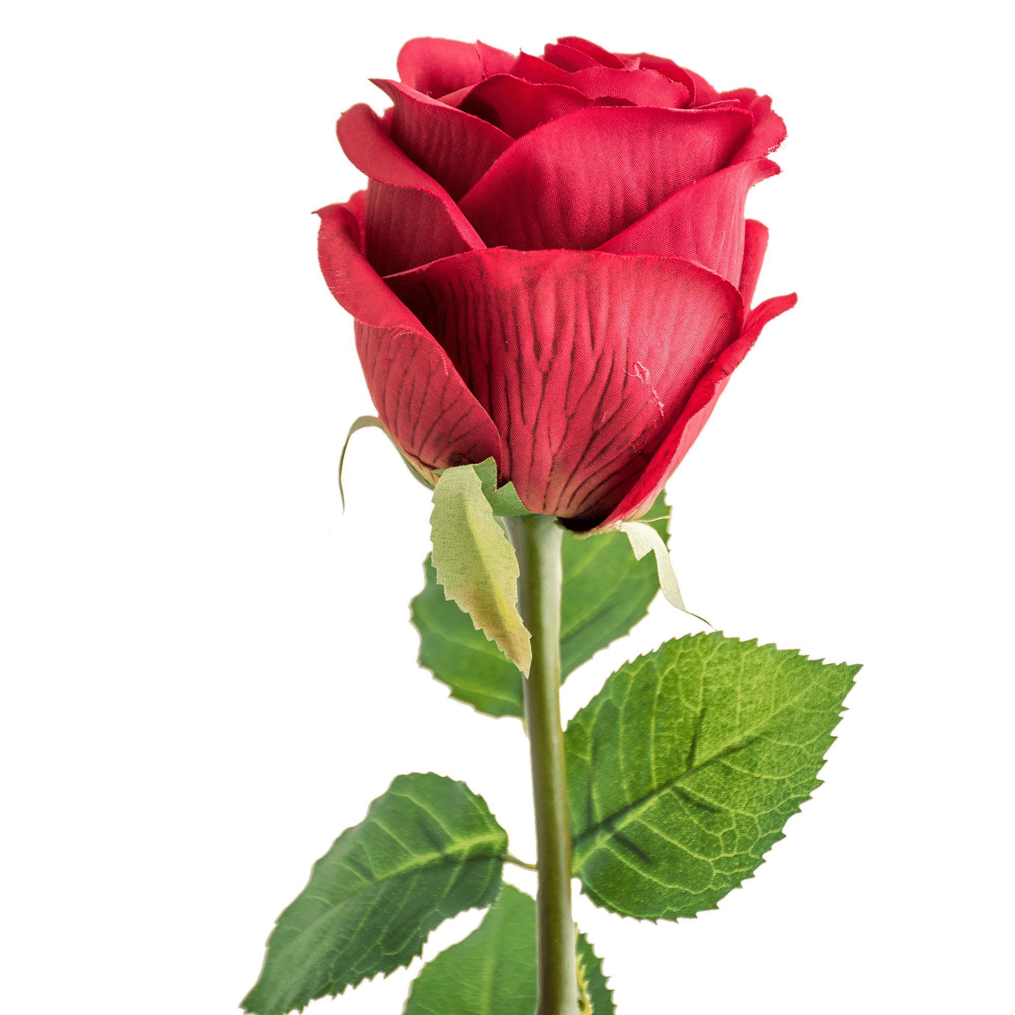 /I/T/ITEM-007252_2_1.png