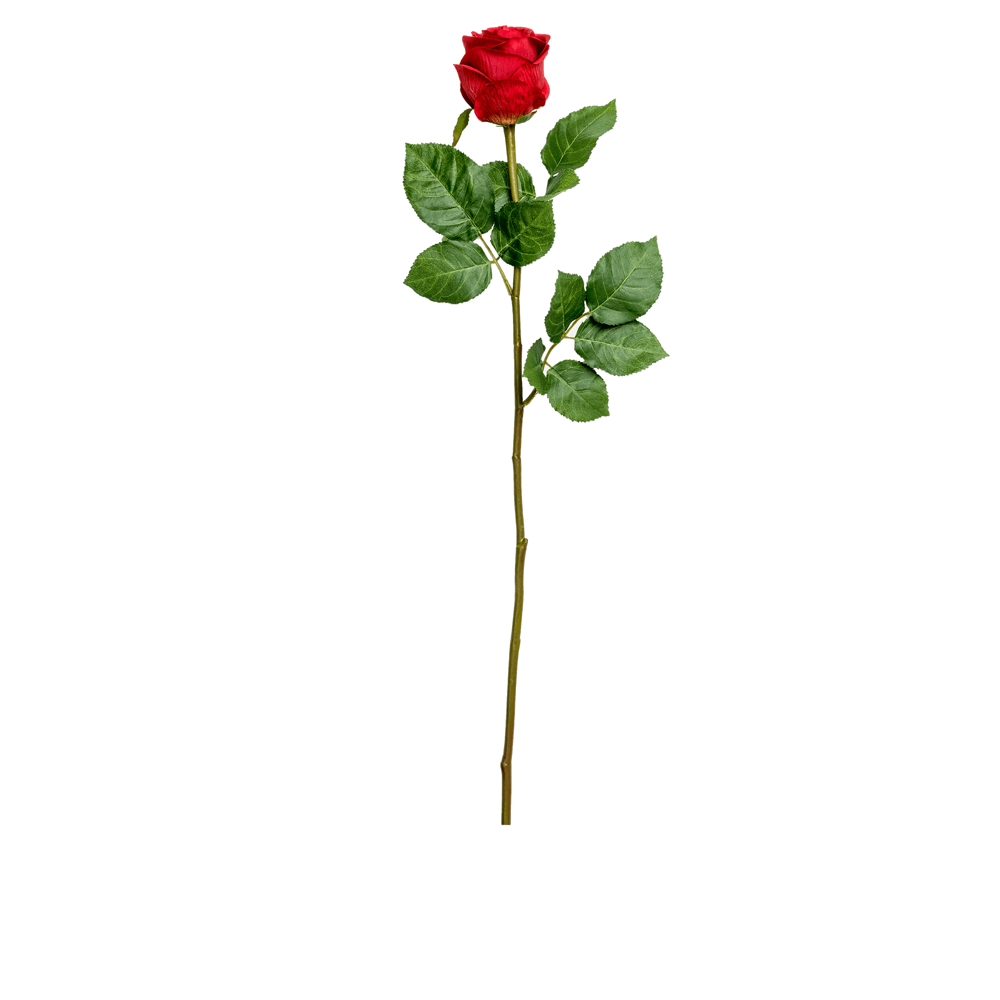 Rose Stem Large