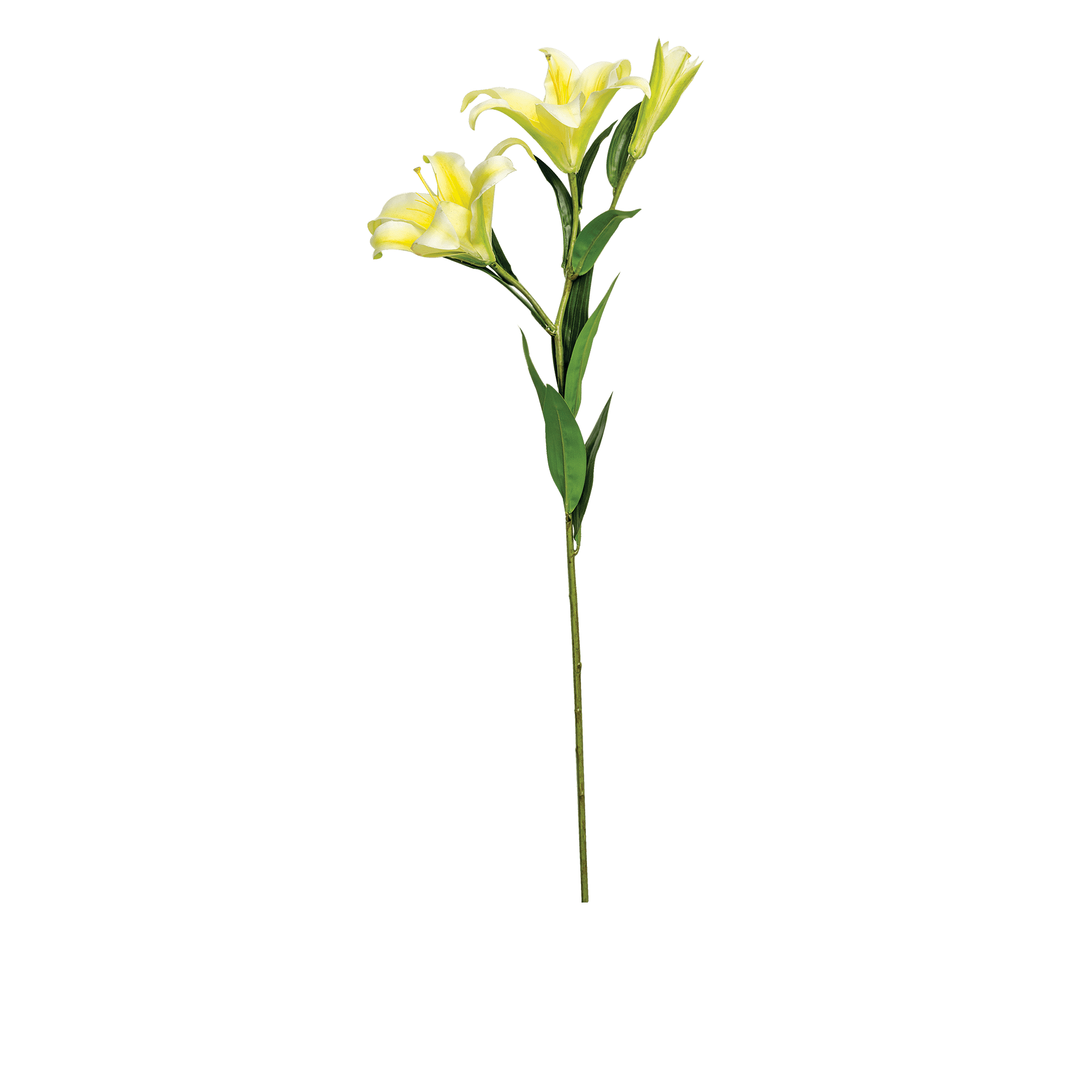Lily Spray