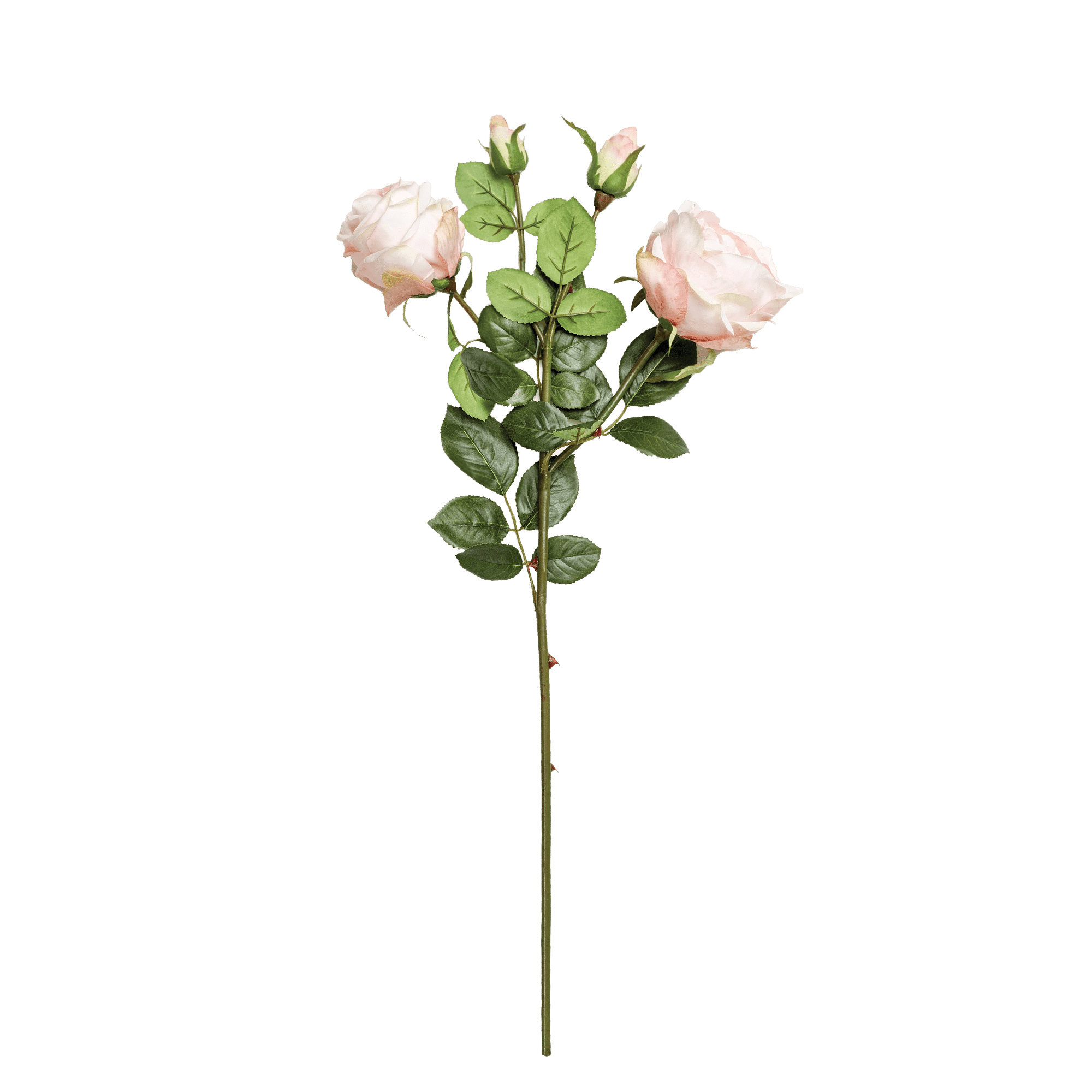 Rose Spray Blush Pink