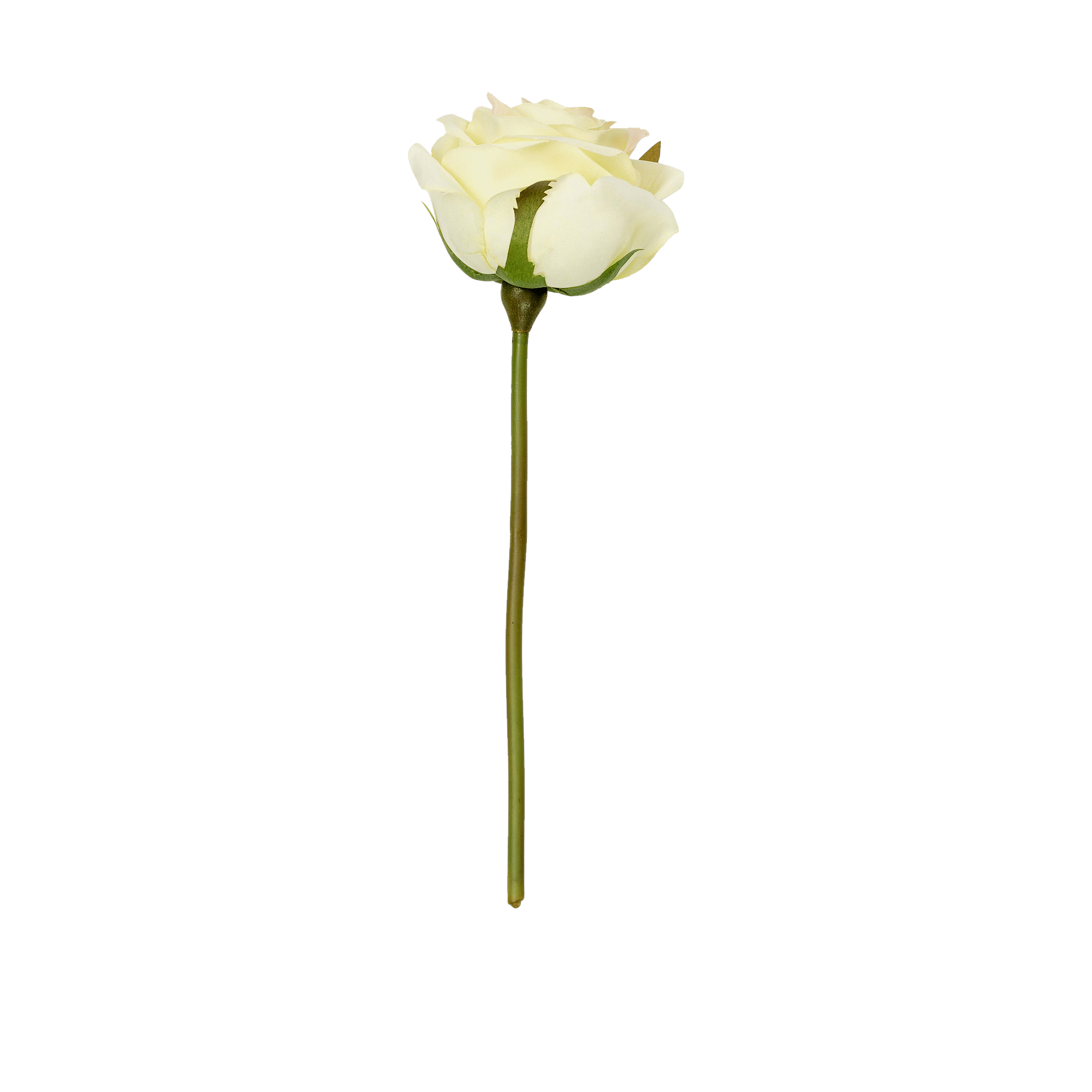 Rose Short Stem