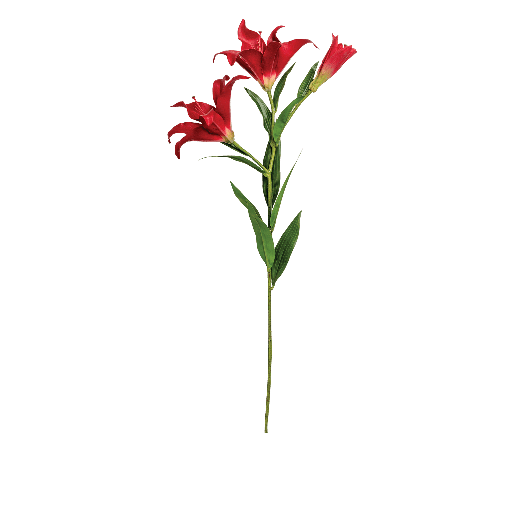 Lily Spray