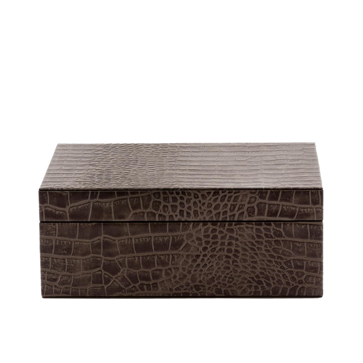 Exotique Utility Box