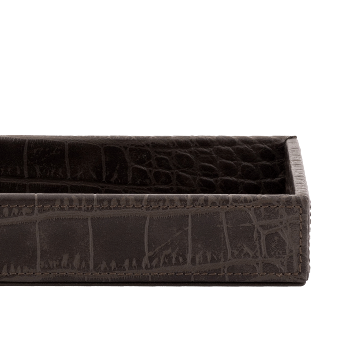 Exotique Pencil Tray