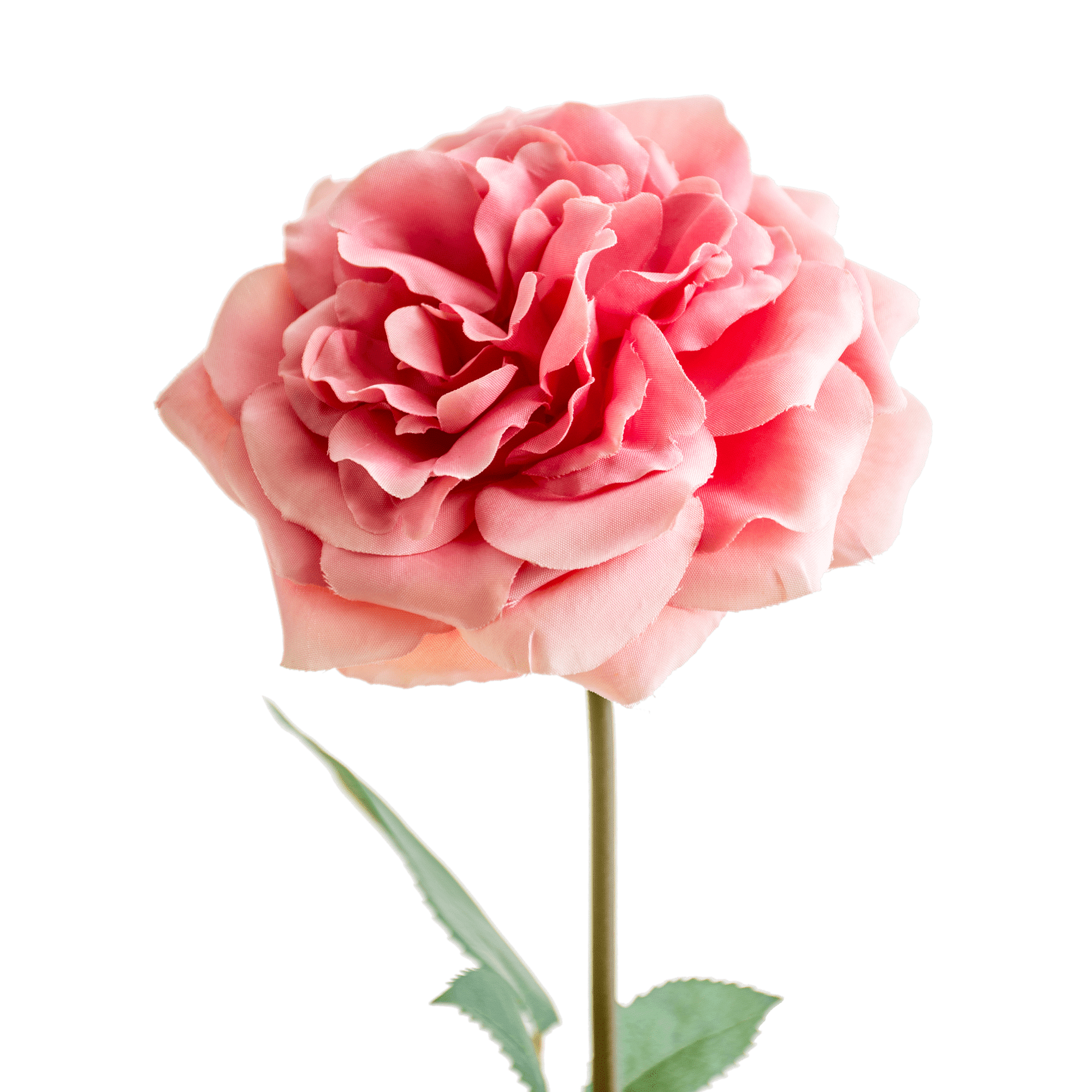 /R/I/RI000853_2_1.png