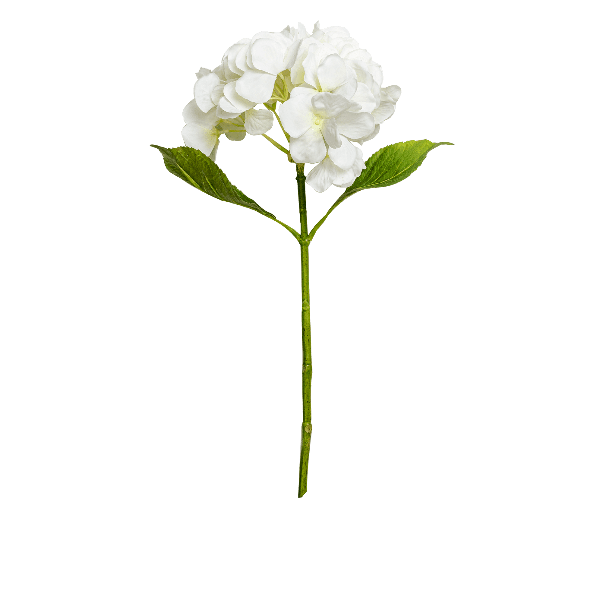 Hydrangea Stem Small