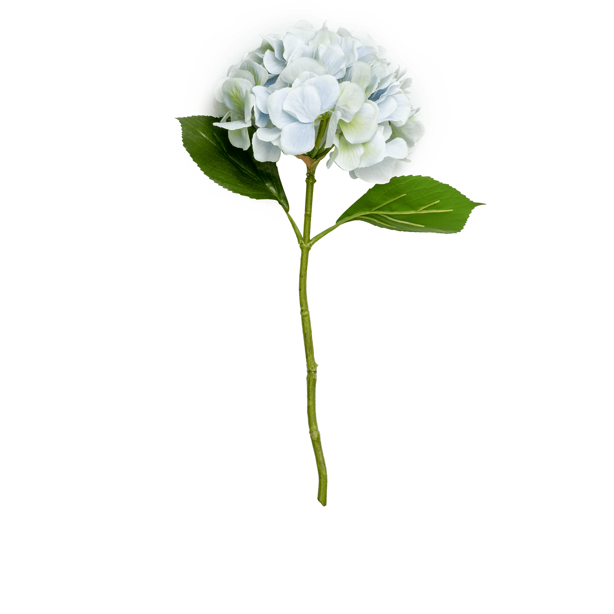Hydrangea Stem Small