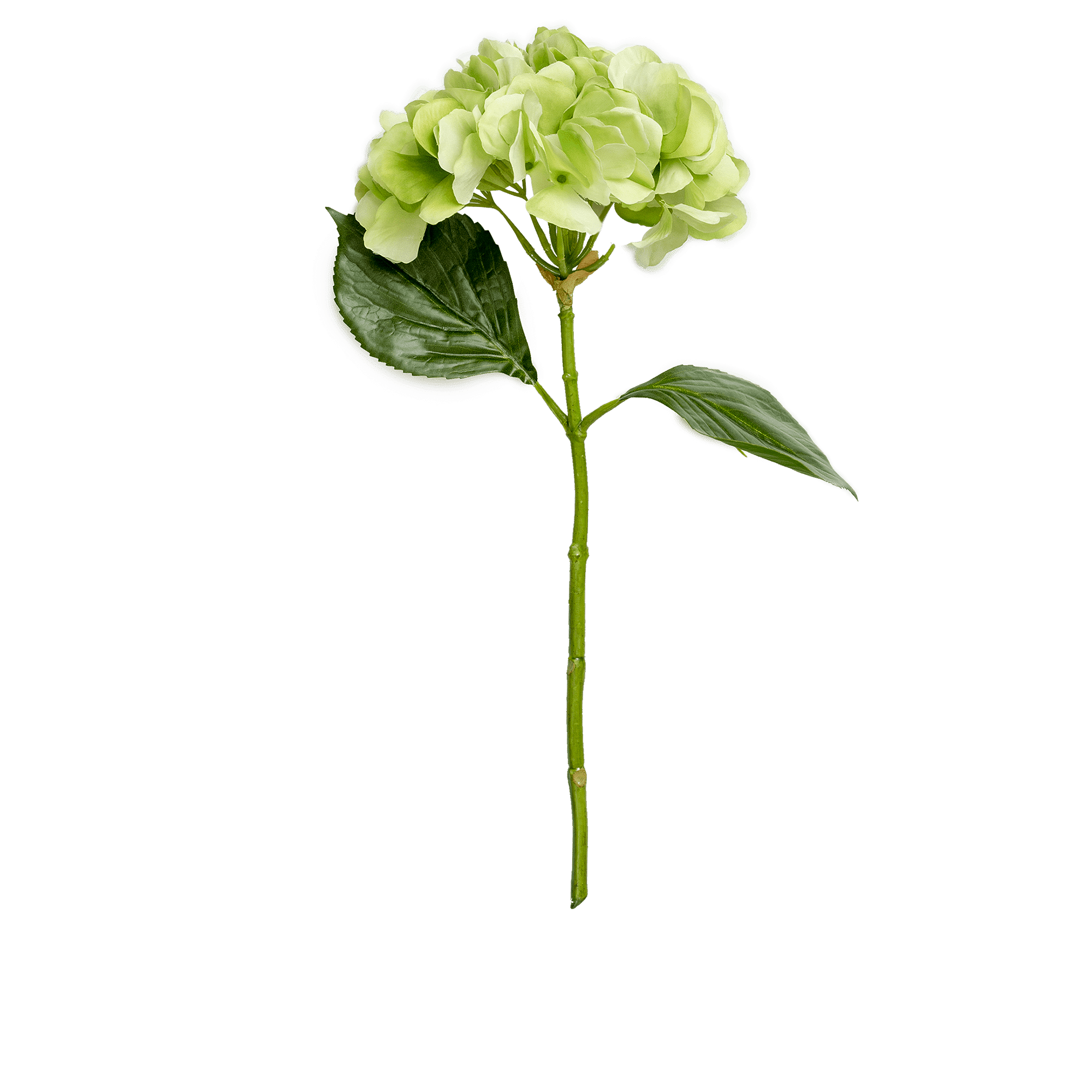 Hydrangea Stem Small