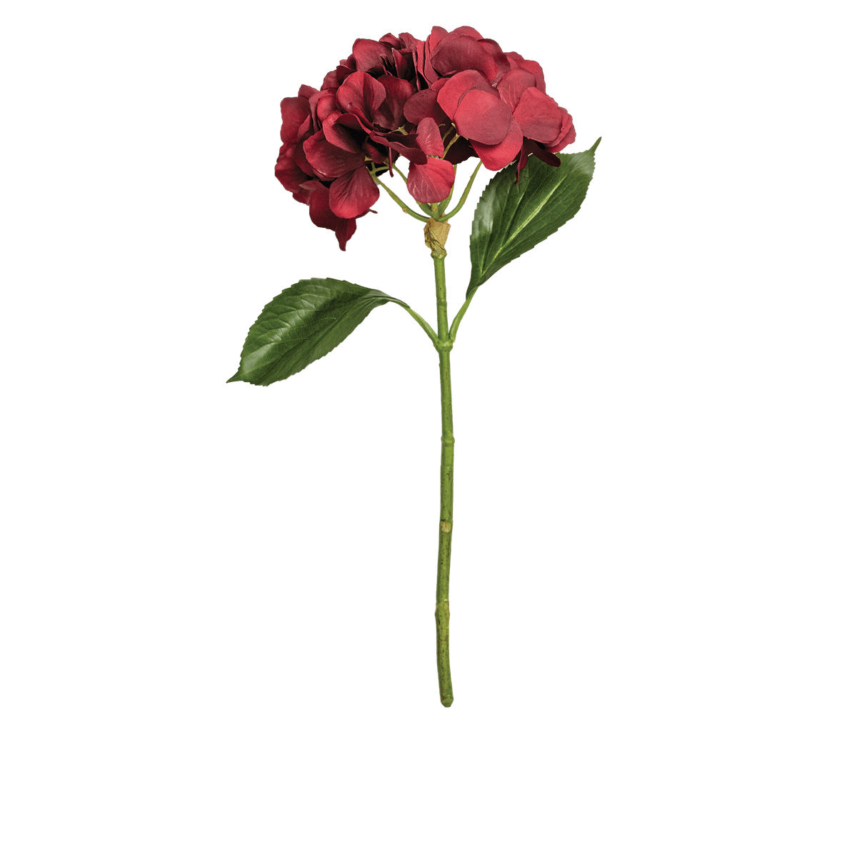 Hydrangea Stem Small