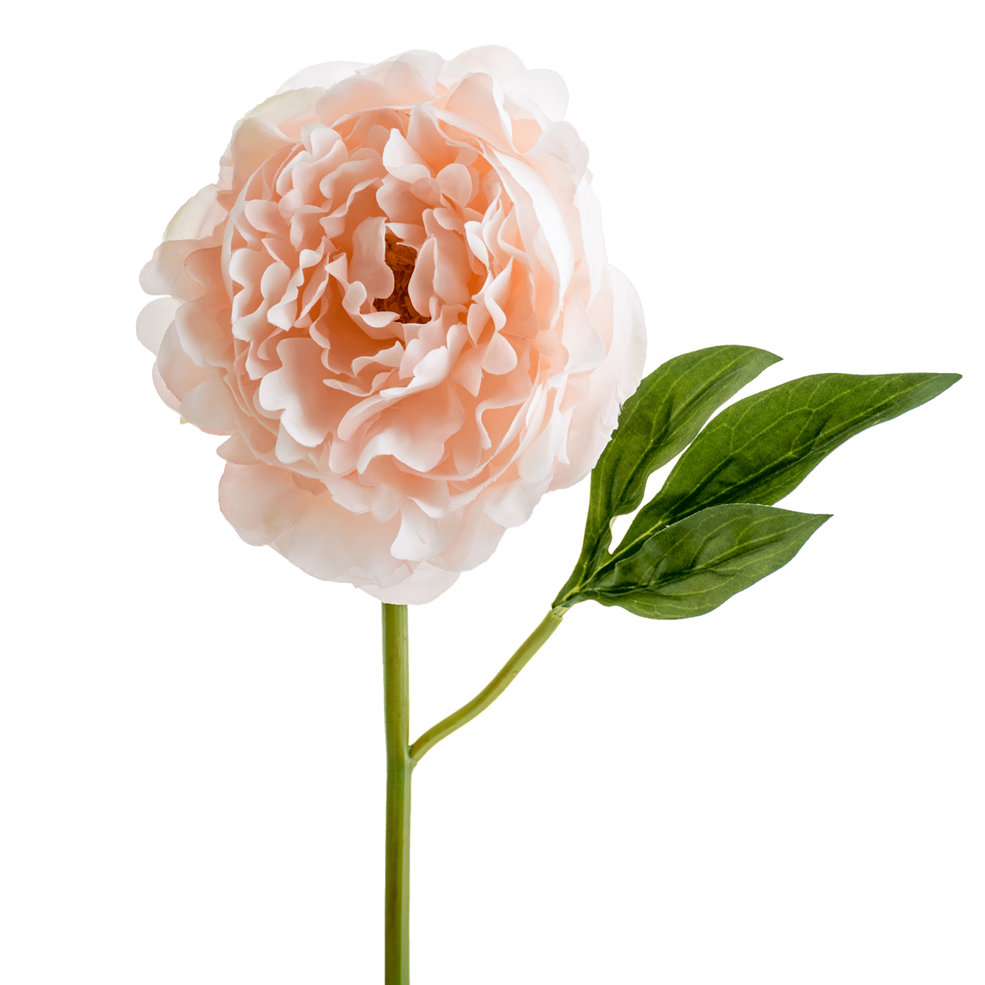 /R/I/RI000865_2_1.png