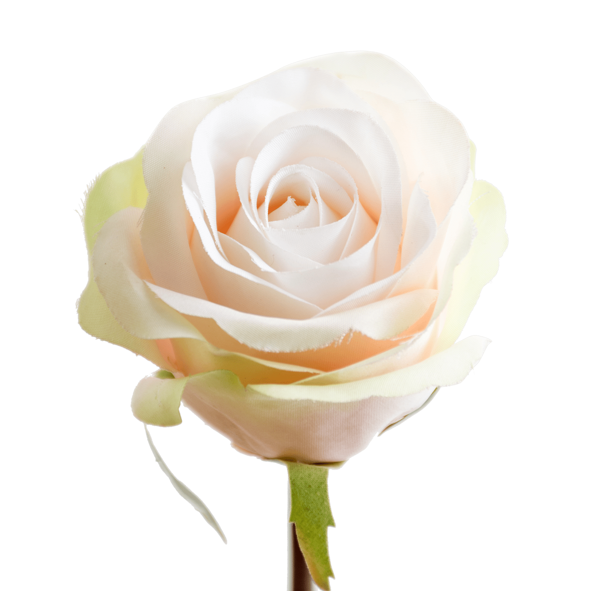 /R/I/RI000939_1_1.png
