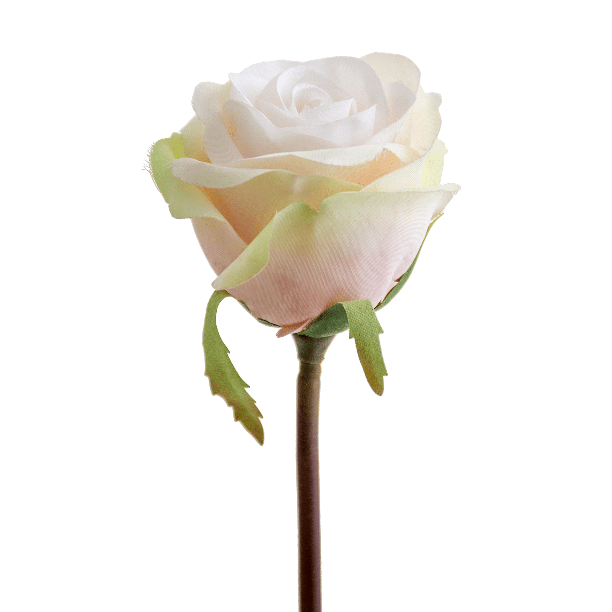 Rose Stem Small