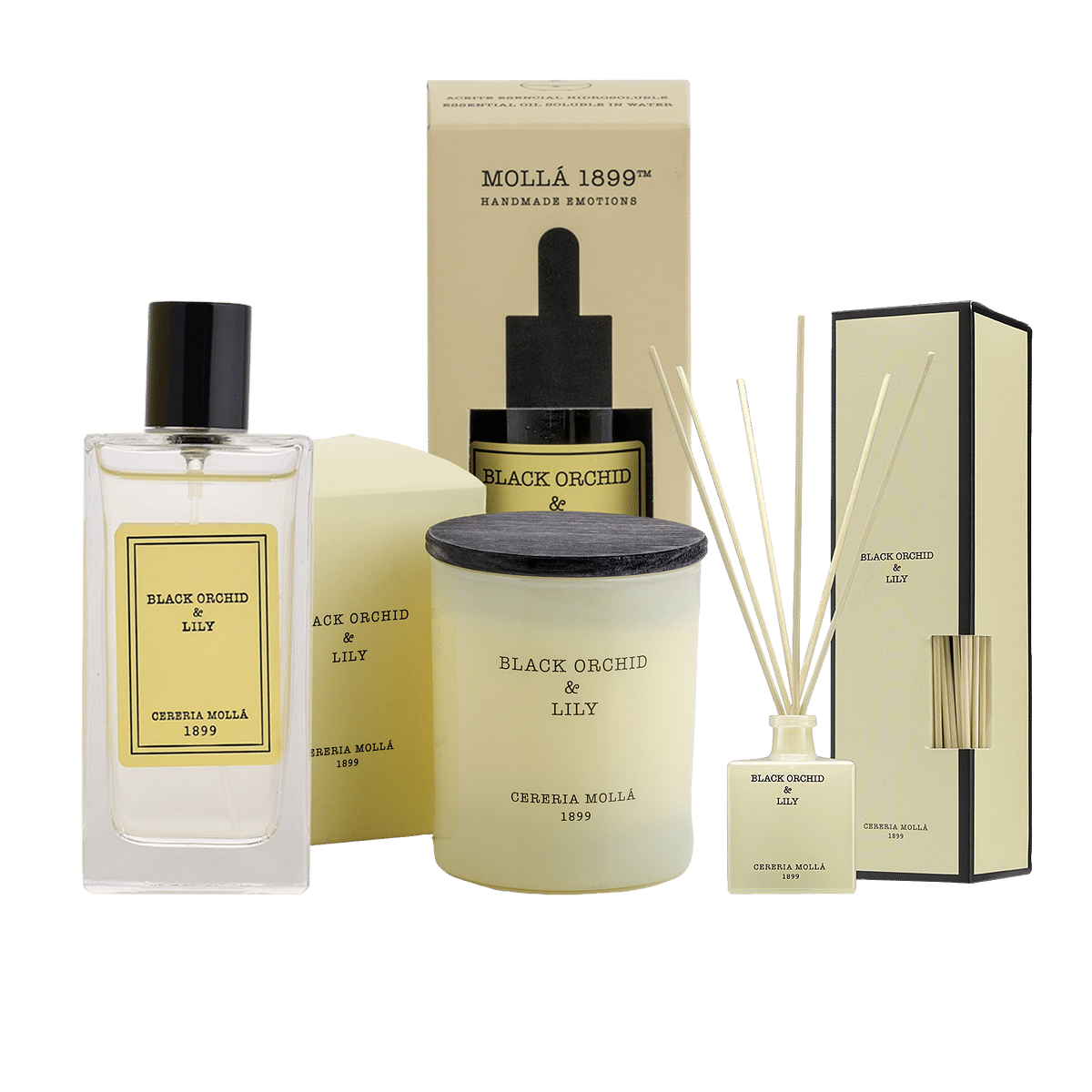 Black Orchid & Lily Reed Diffuser 100ml