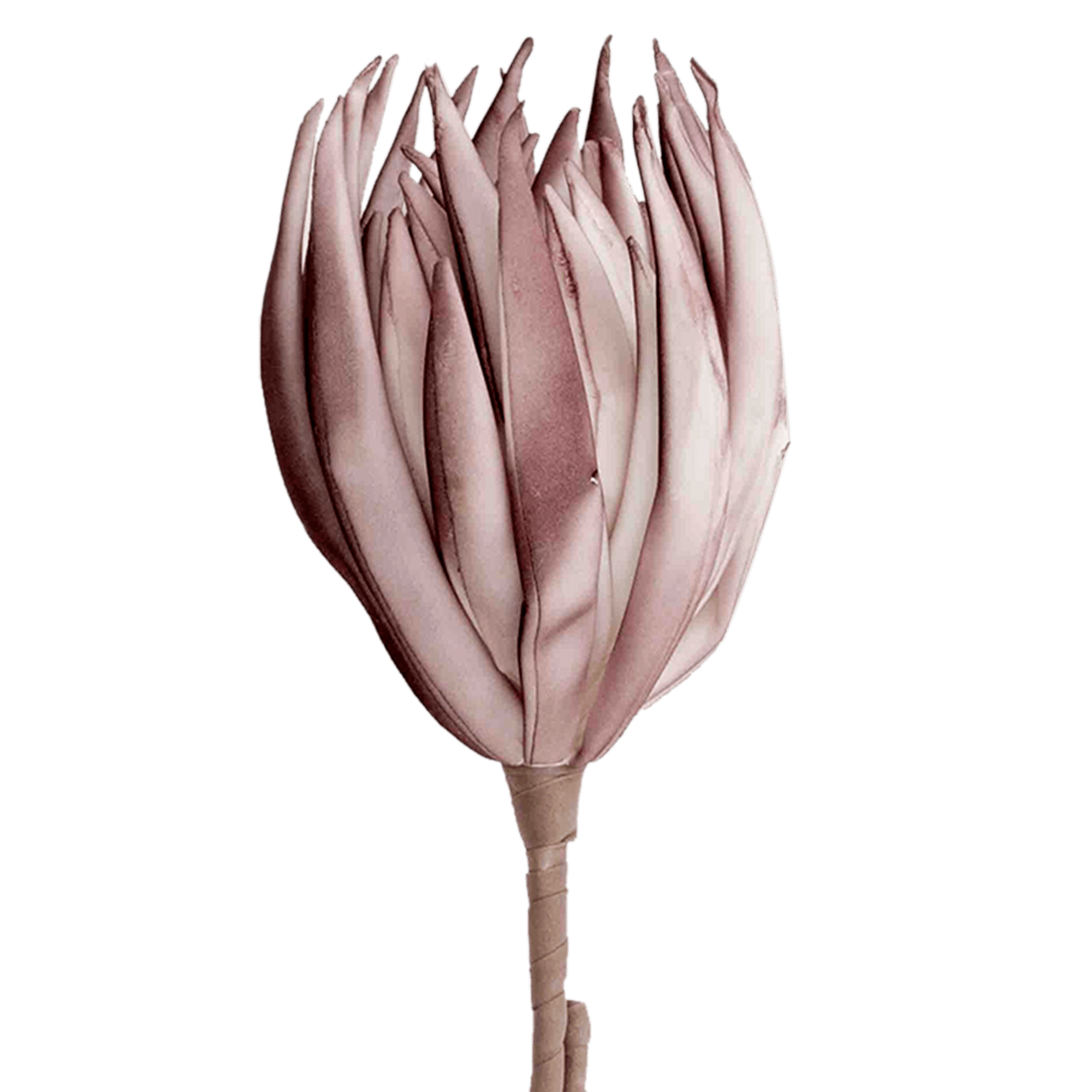 /R/I/RI002672_1_1.png