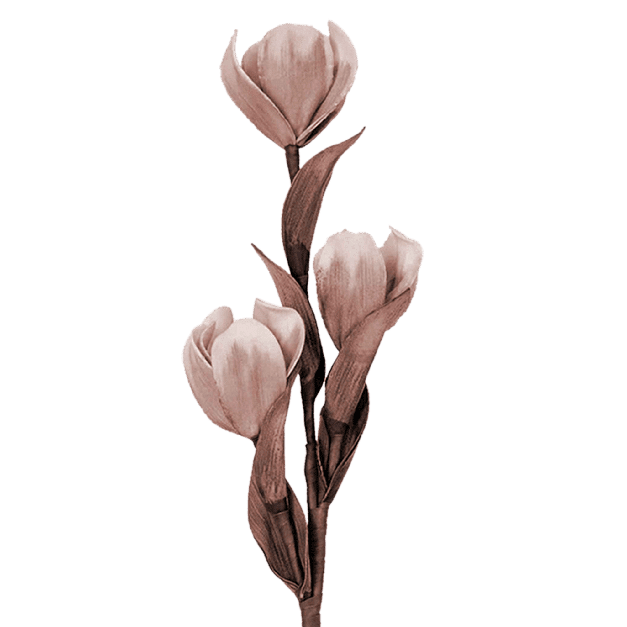 /R/I/RI002724_1_1.png