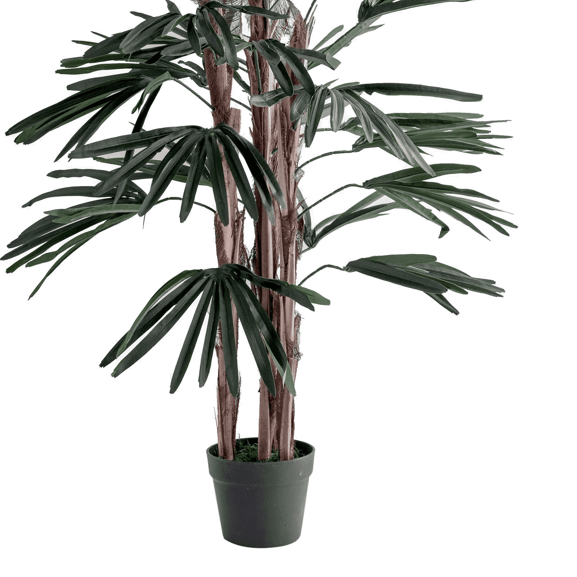 /R/I/RI003099_1_1.png