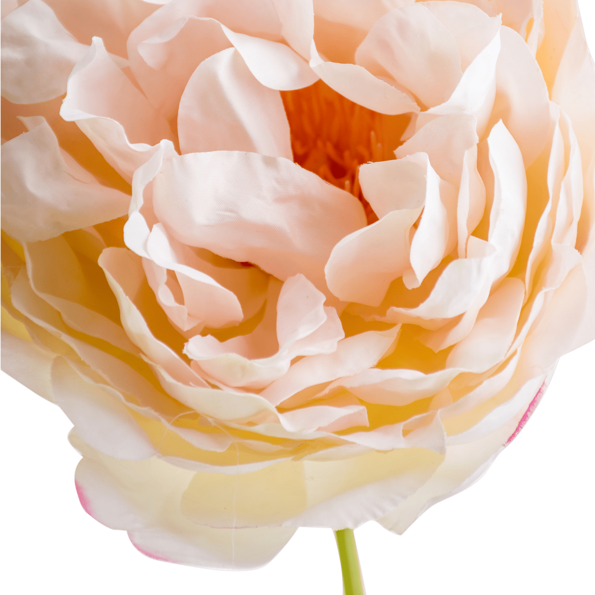 /R/I/RI003770_1_1.png