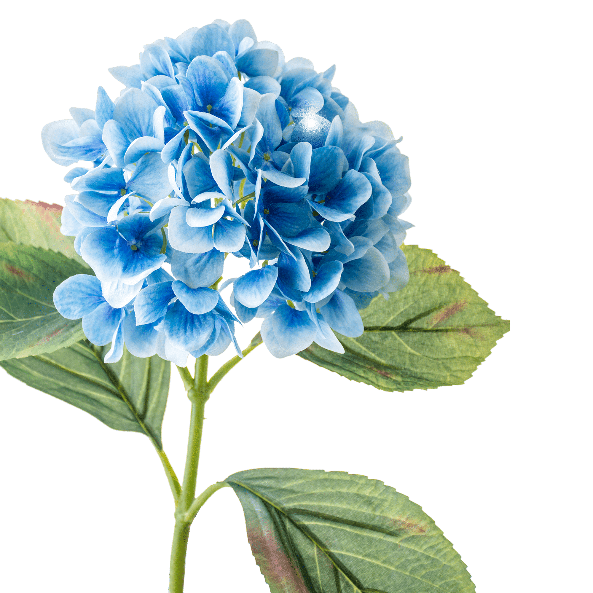 Hydrangea Stem Large