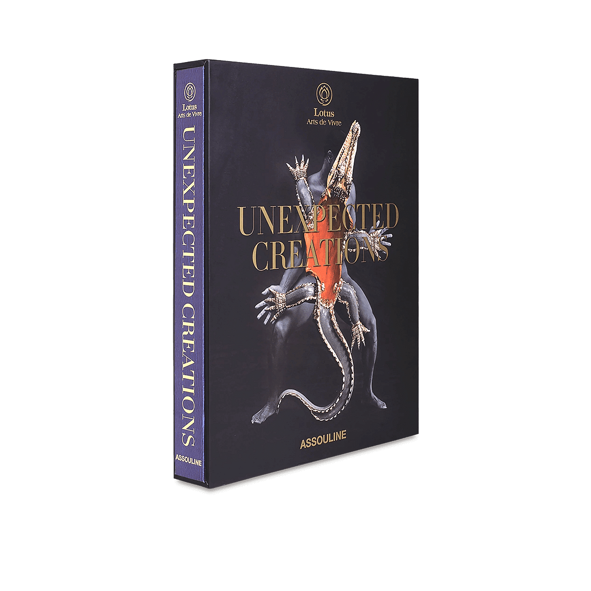 Unexpected Creation Coffee Table Book
