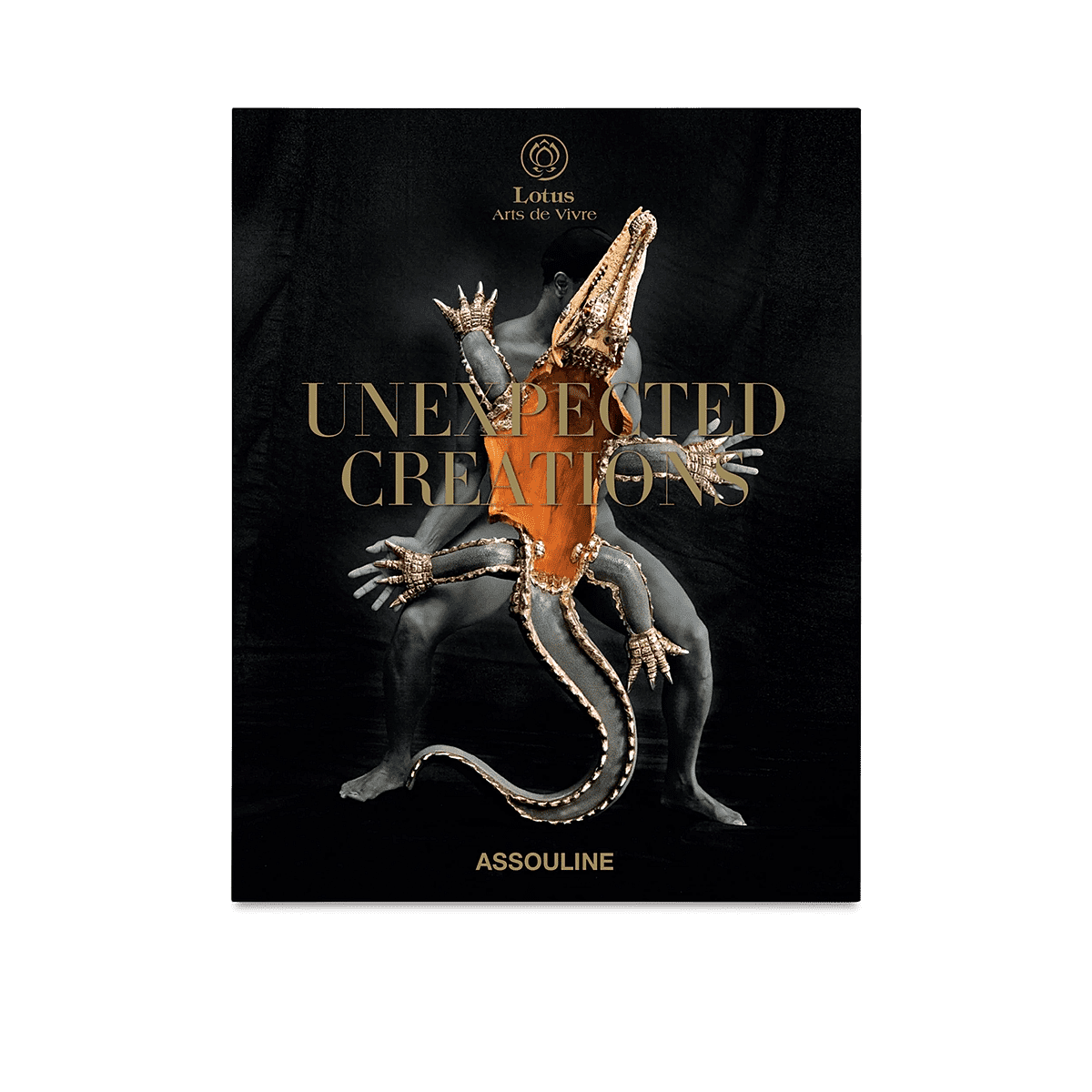 Unexpected Creation Coffee Table Book