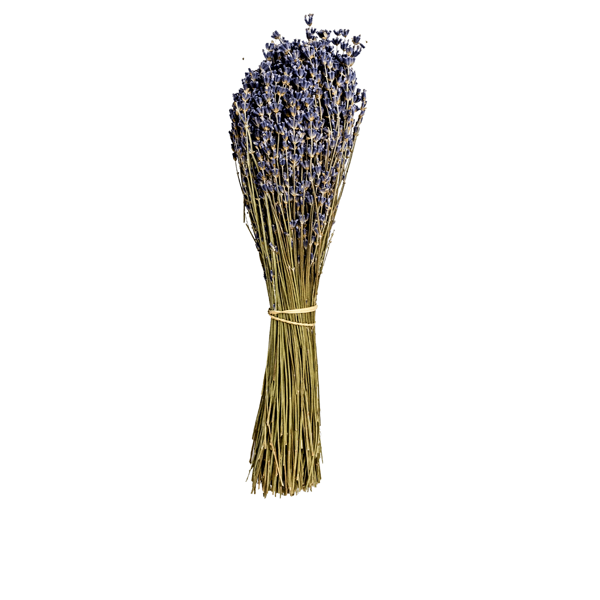 Lavander Dried Botanical