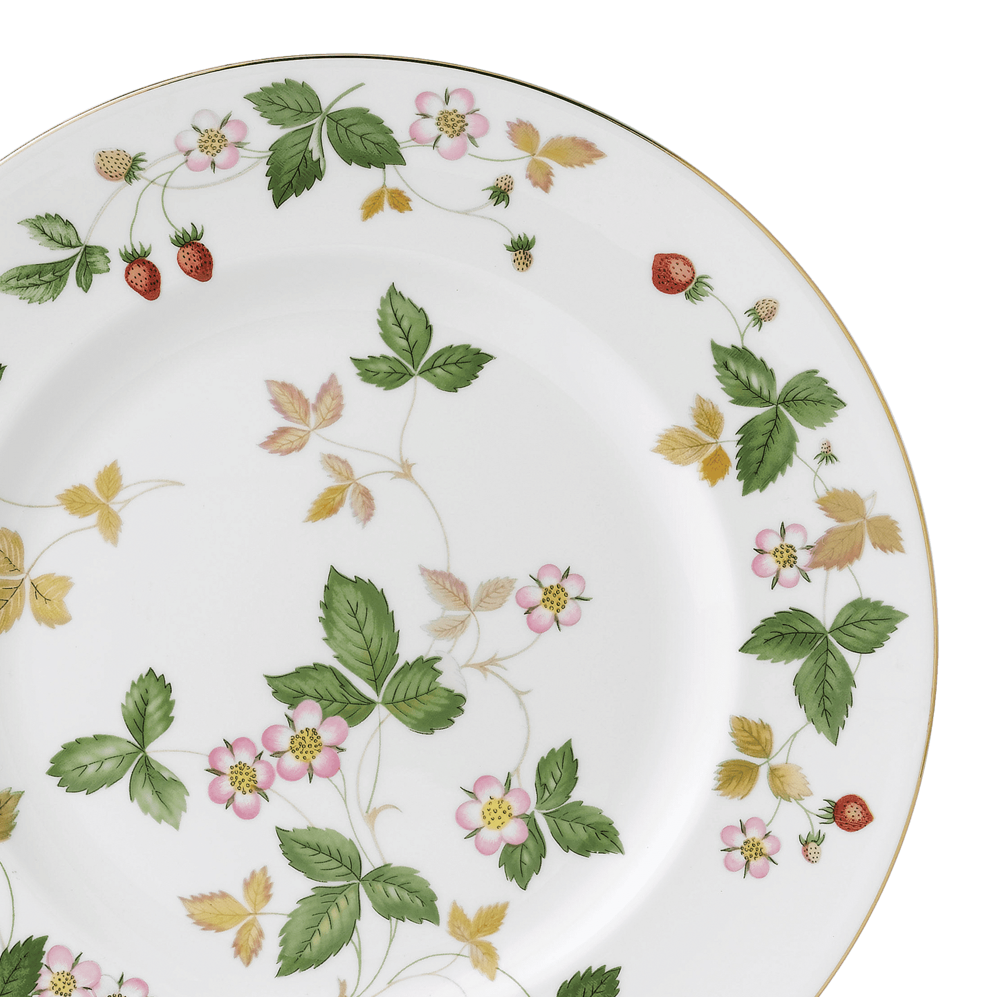 Wild Strawberry Dinner Plate