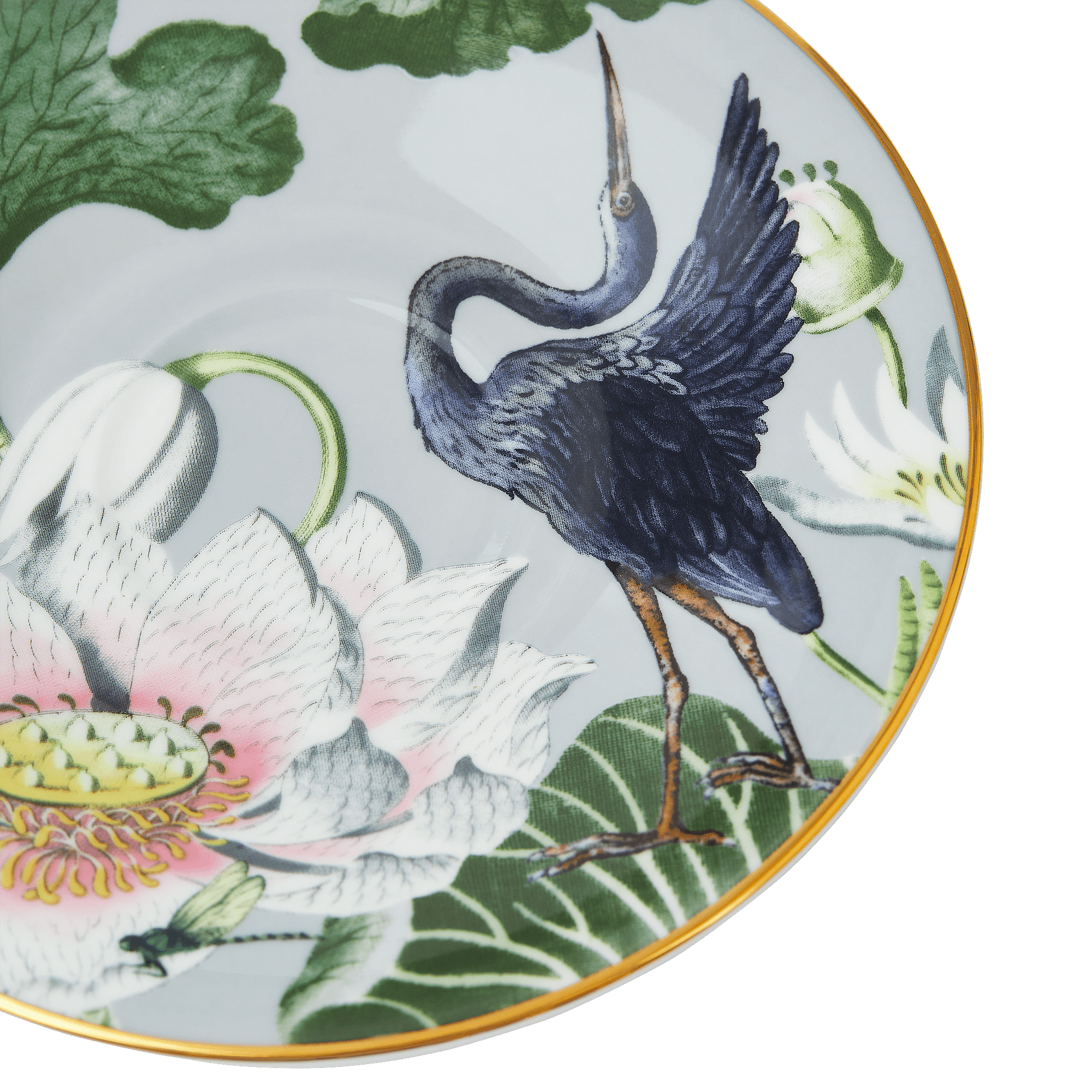 Wonderlust Waterlily Teacup & Saucer