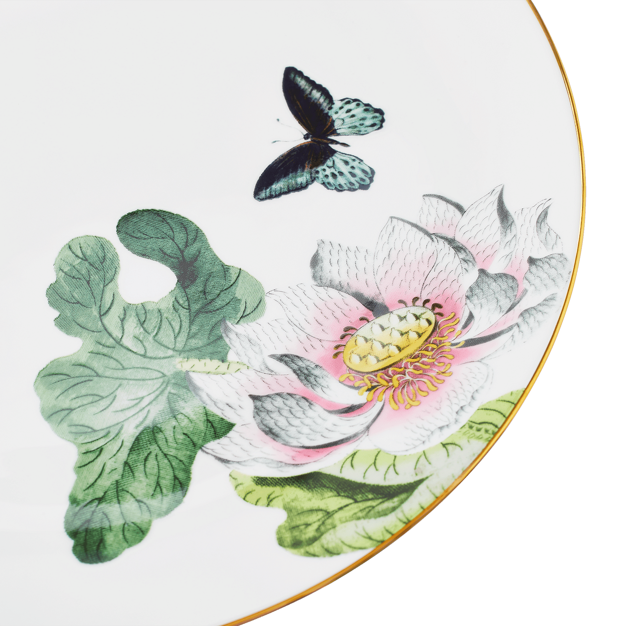Wonder Lust Dinner Plate