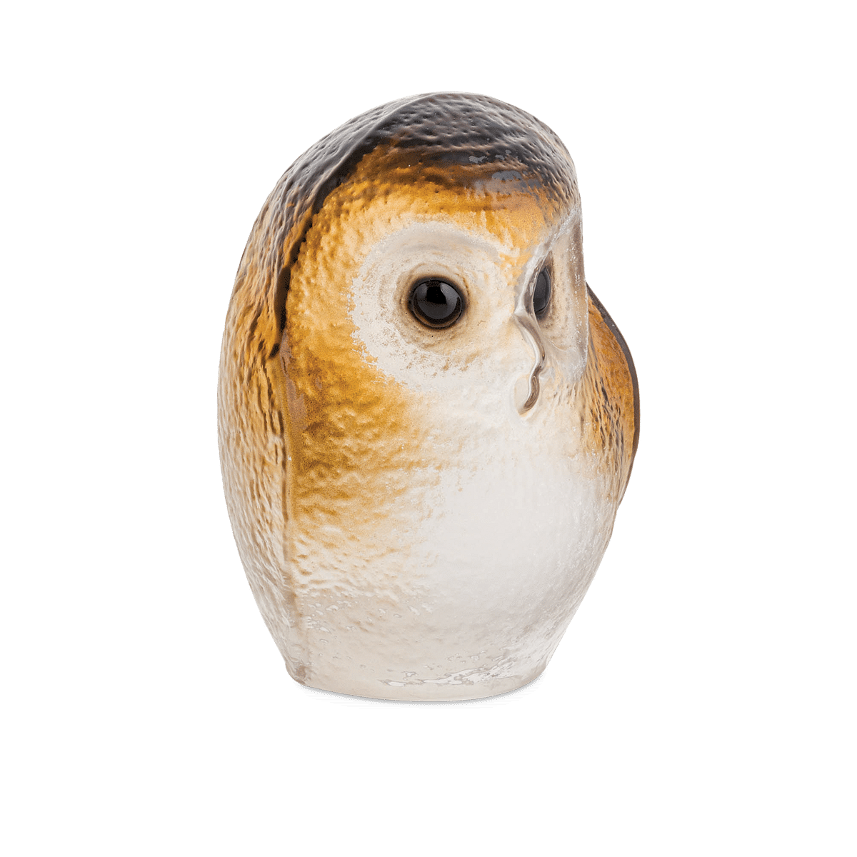 Safari Owlet