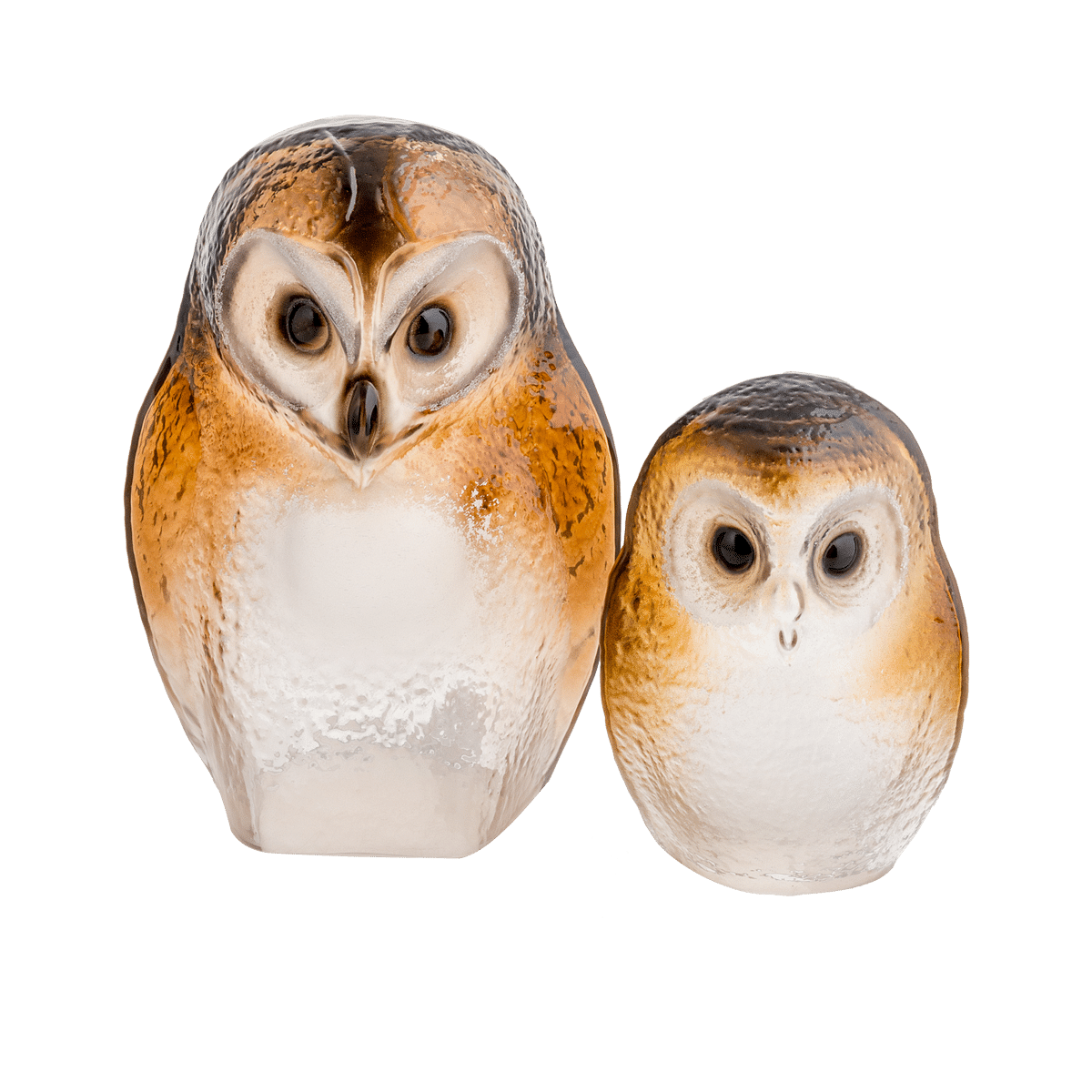 Safari Owlet
