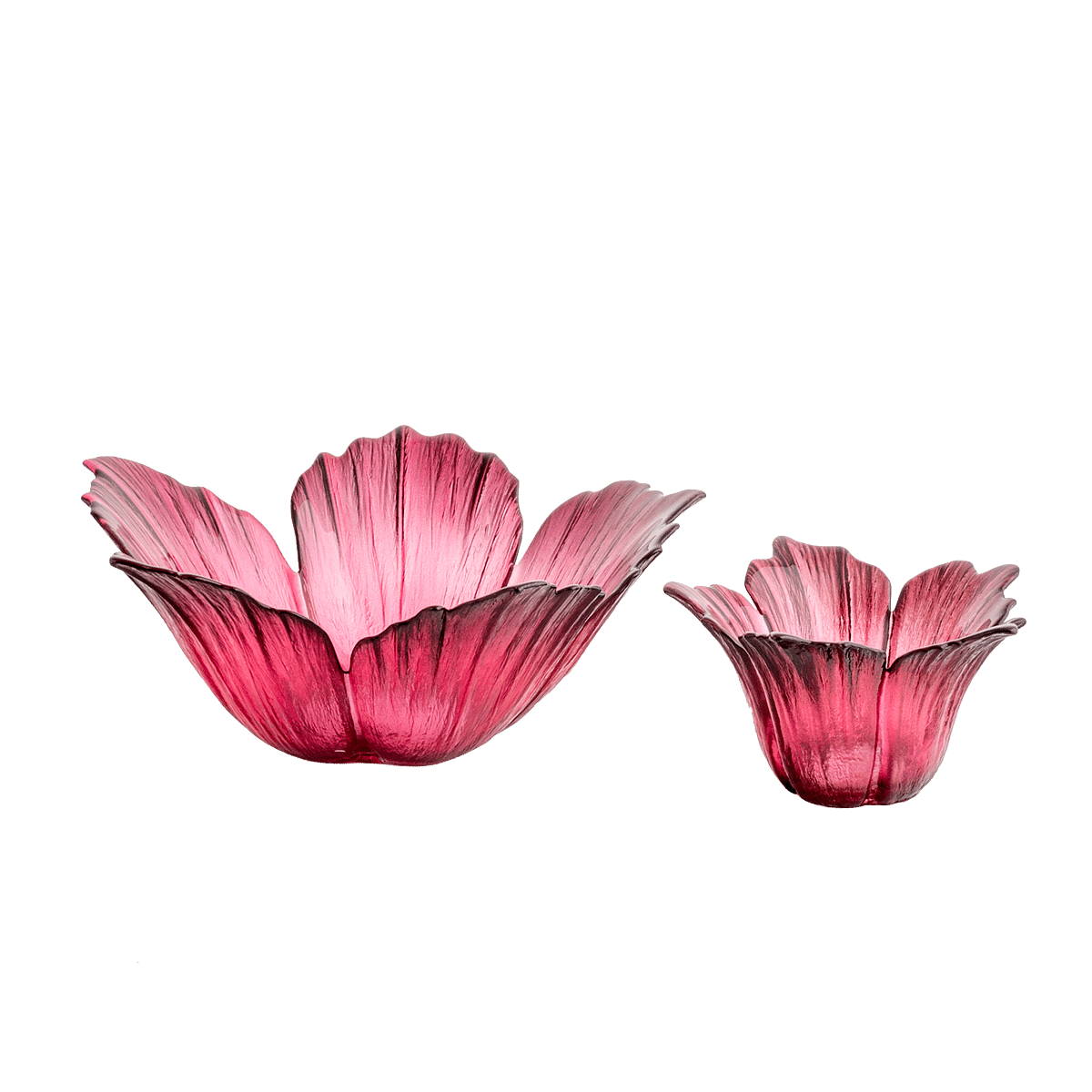 Fleur Votive