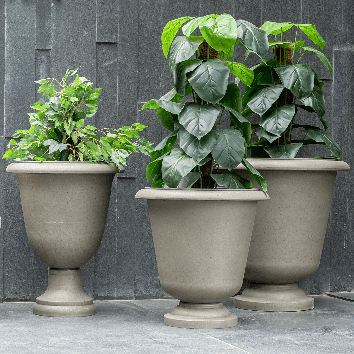 Marris Planter