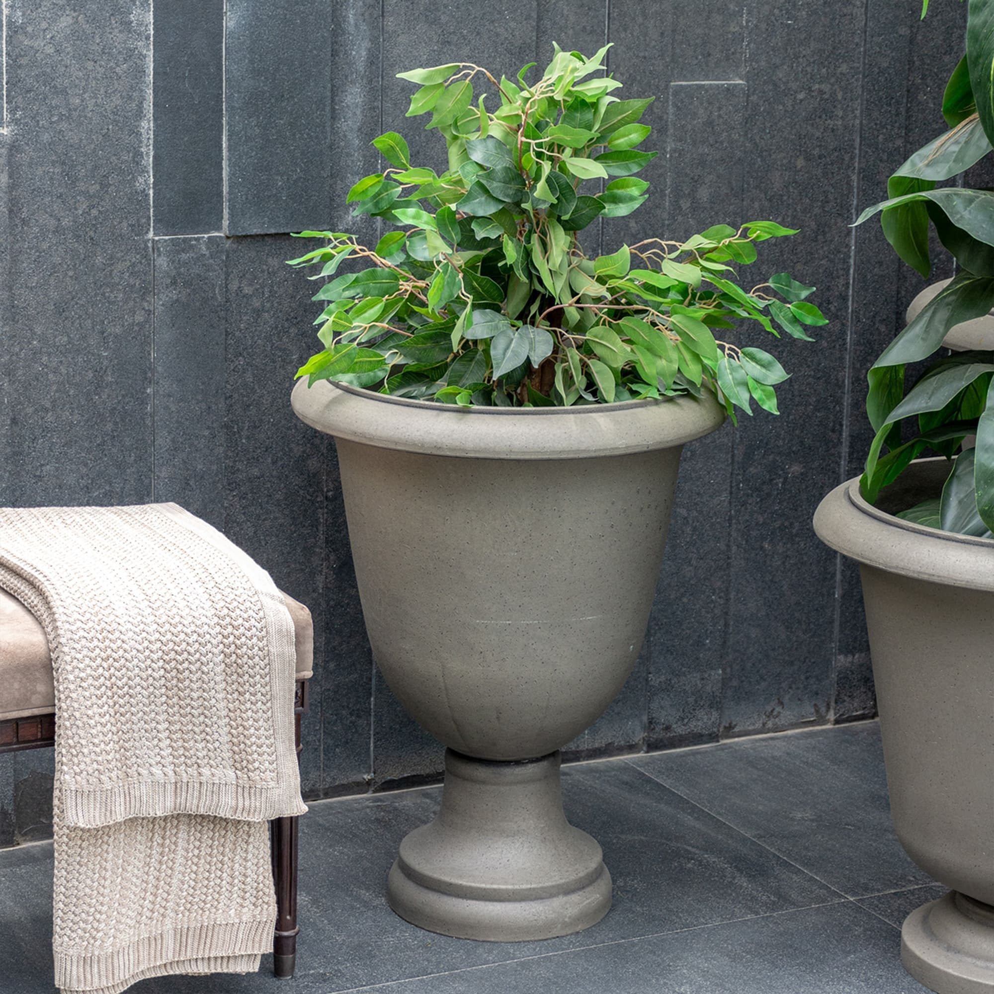 Marris Planter