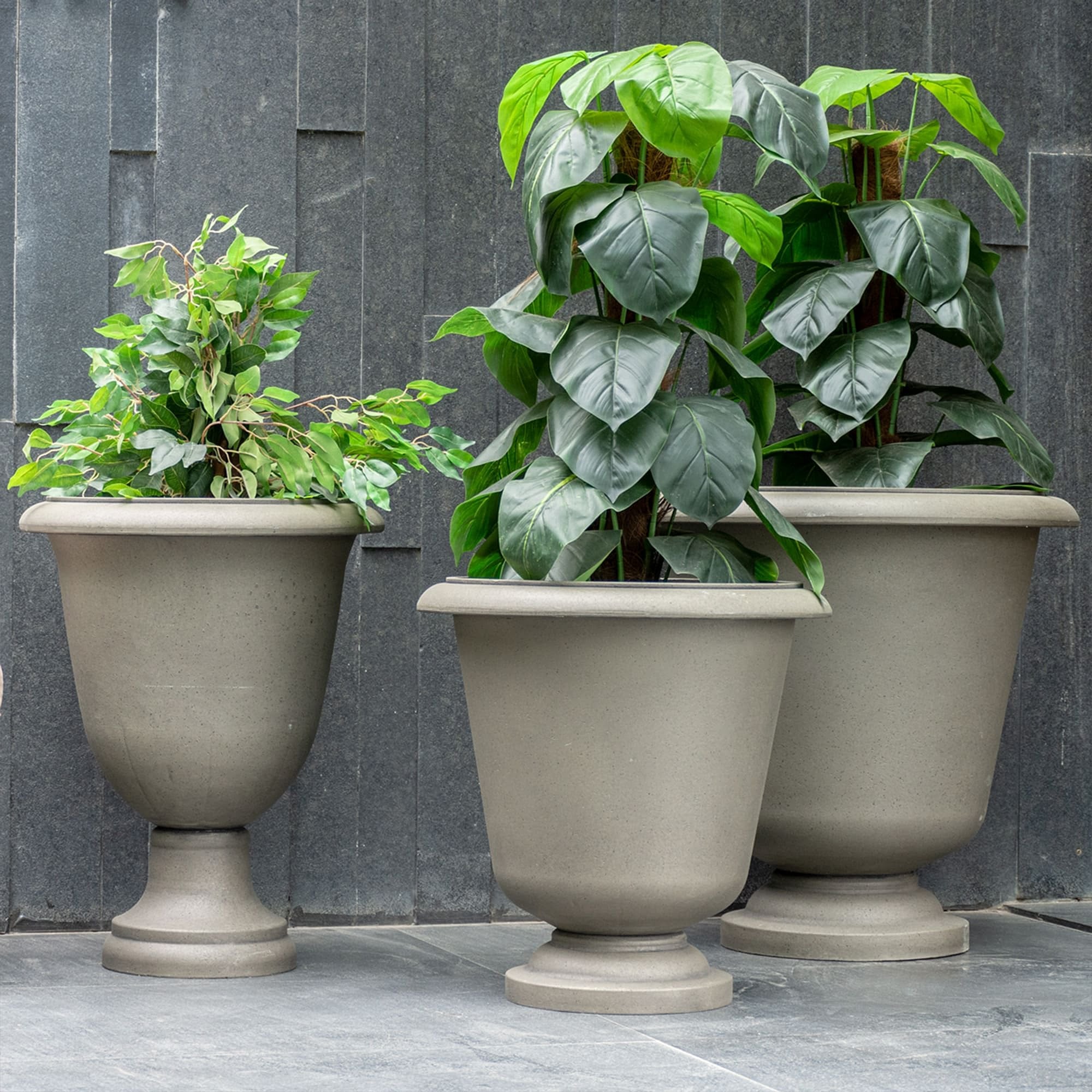 Marris Planter