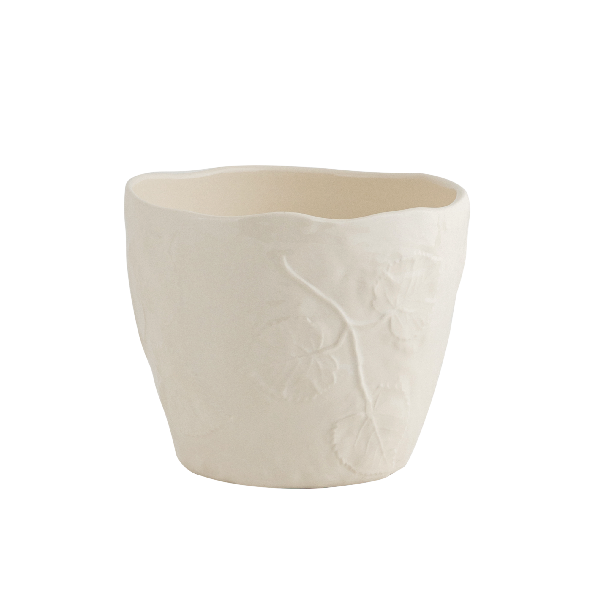 Botanical Indoor Planter