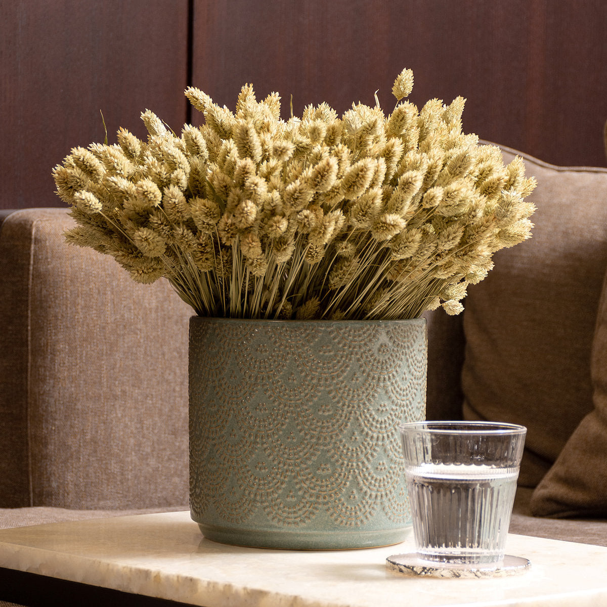 Phalaris Dried Botanical