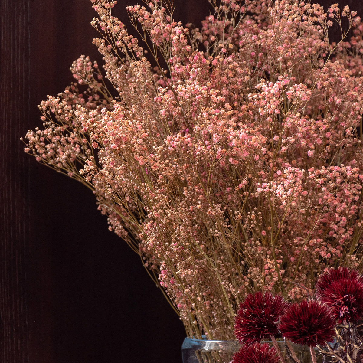 Hortensia Preserve Dried Botanical