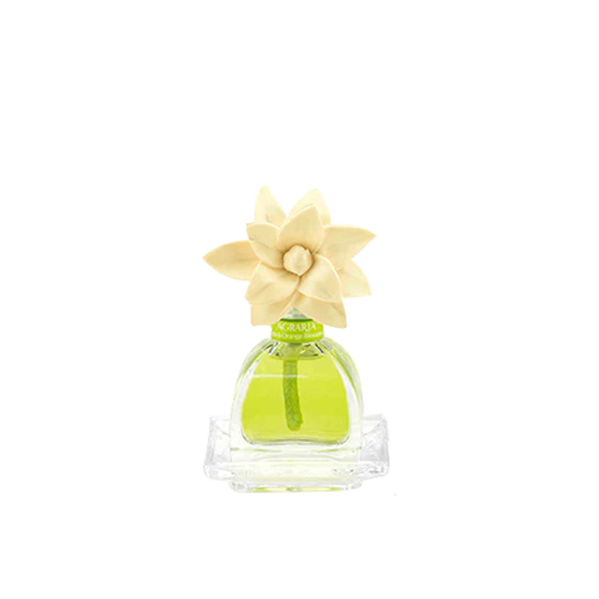Lime & Orange petite essence Reed Diffuser