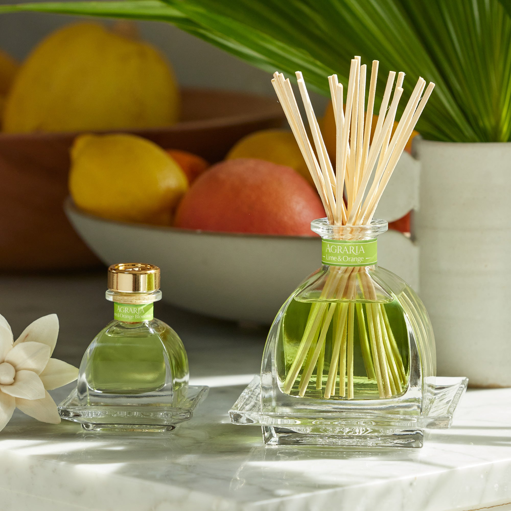 Lime & Orange petite essence Reed Diffuser