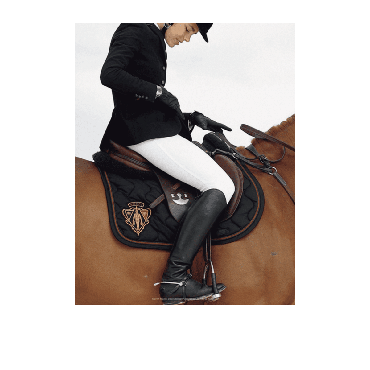 Gucci Coffee Table Book