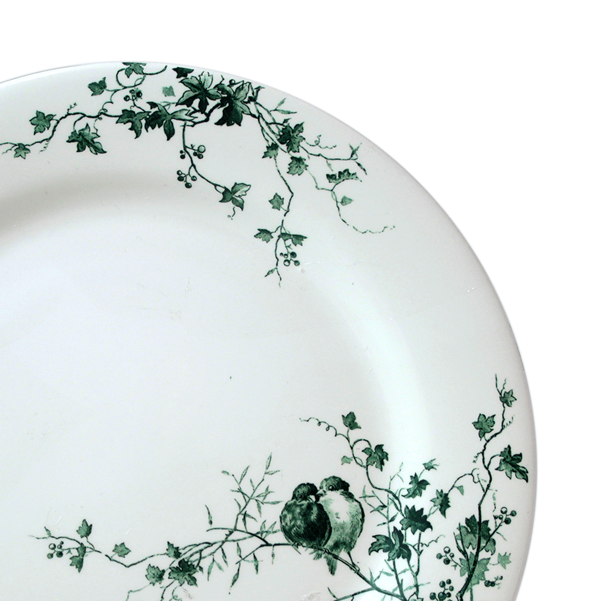Les Oiseaux Dinner Plate